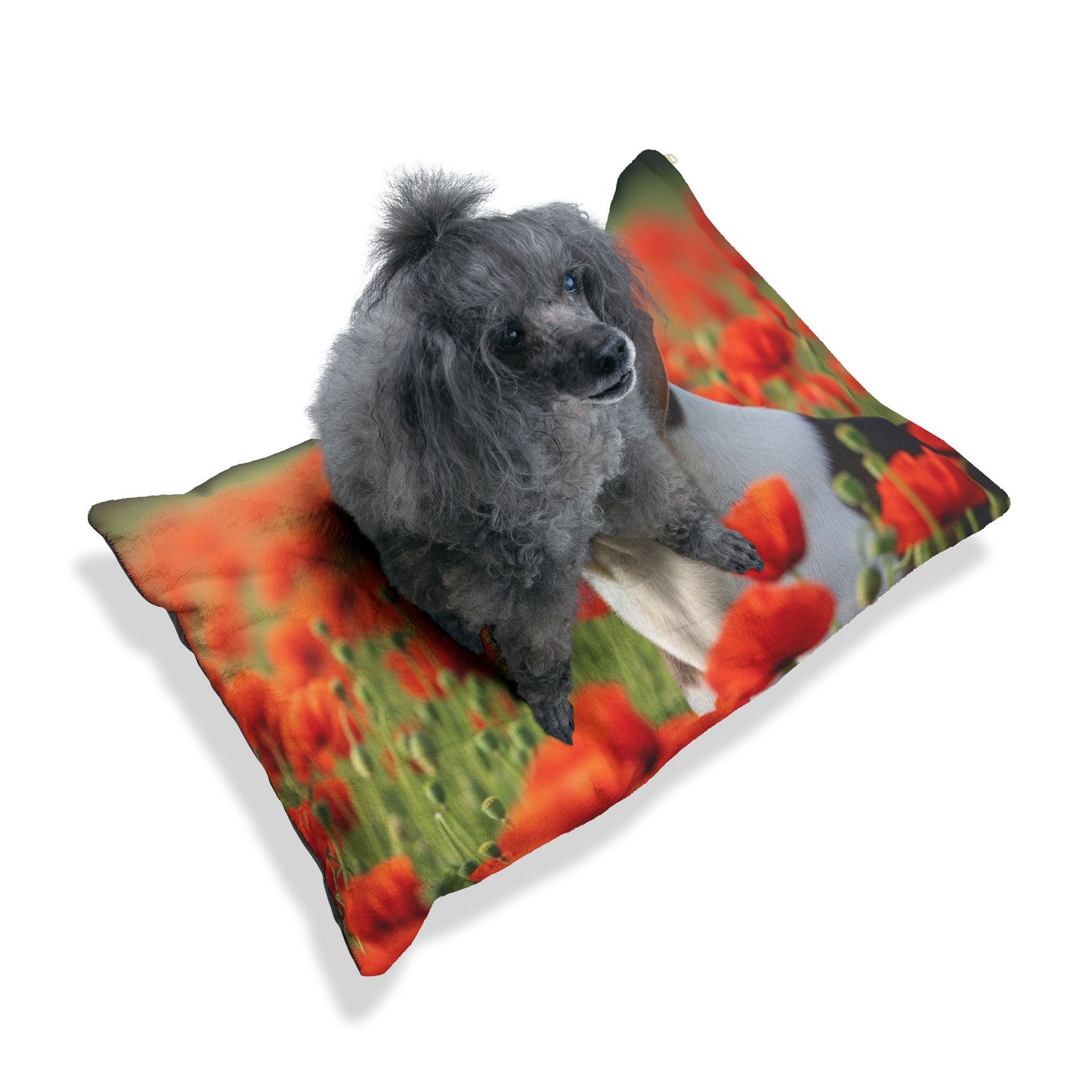 Foxhound Pet Bed