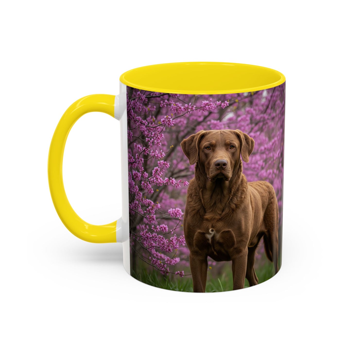 Chesapeake Bay Retriever Accent Coffee Mug - Perfect Gift for Dog Lovers