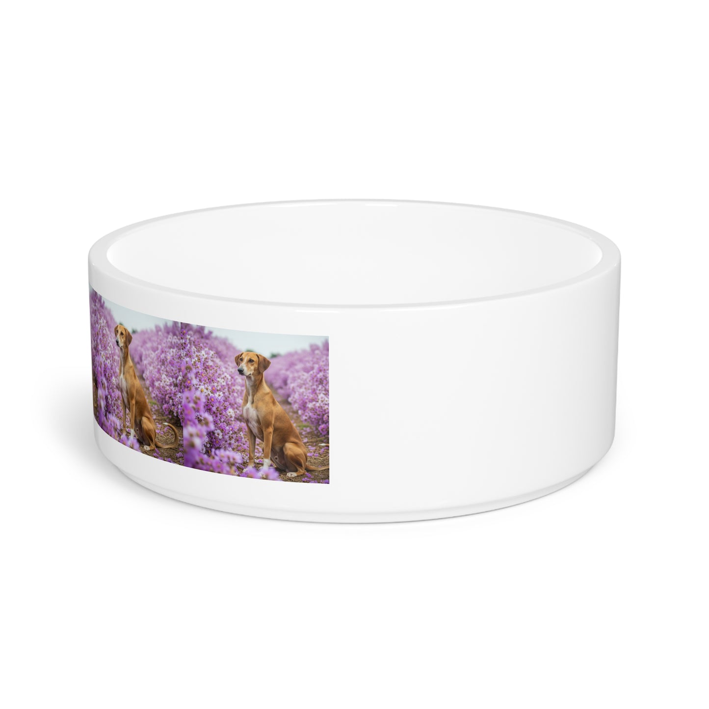 Banjara Hound Pet Bowl
