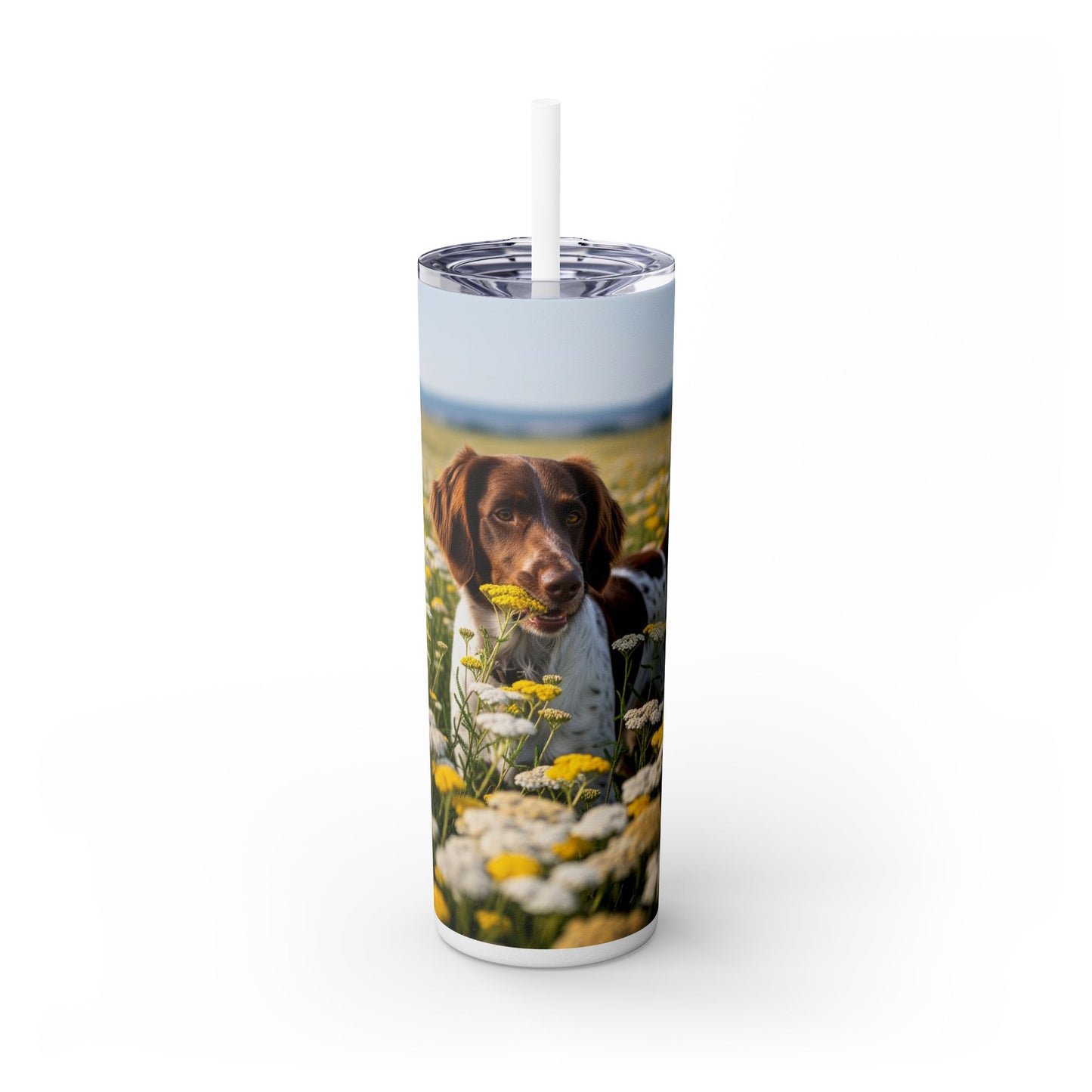 Drentsche Patrijshond Skinny Tumbler with Straw, 20oz