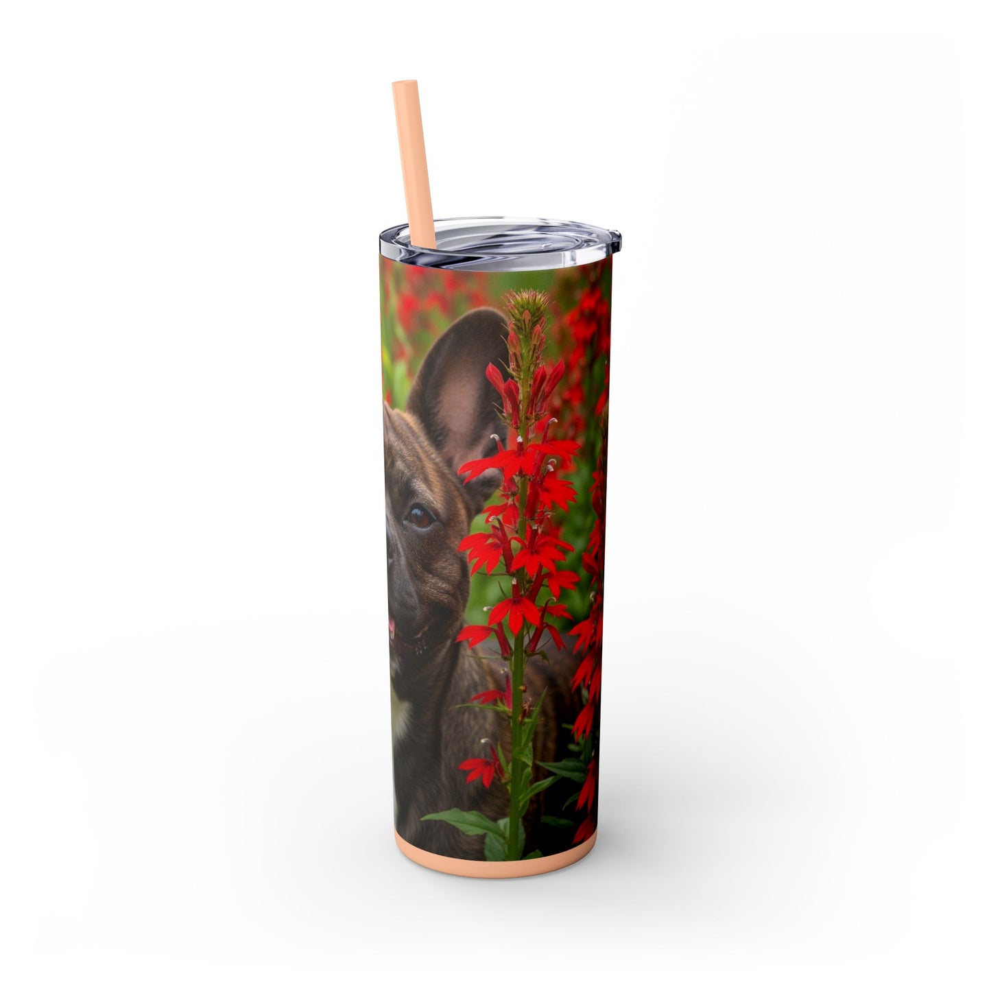 Frenchton Tumbler with Straw, 20oz