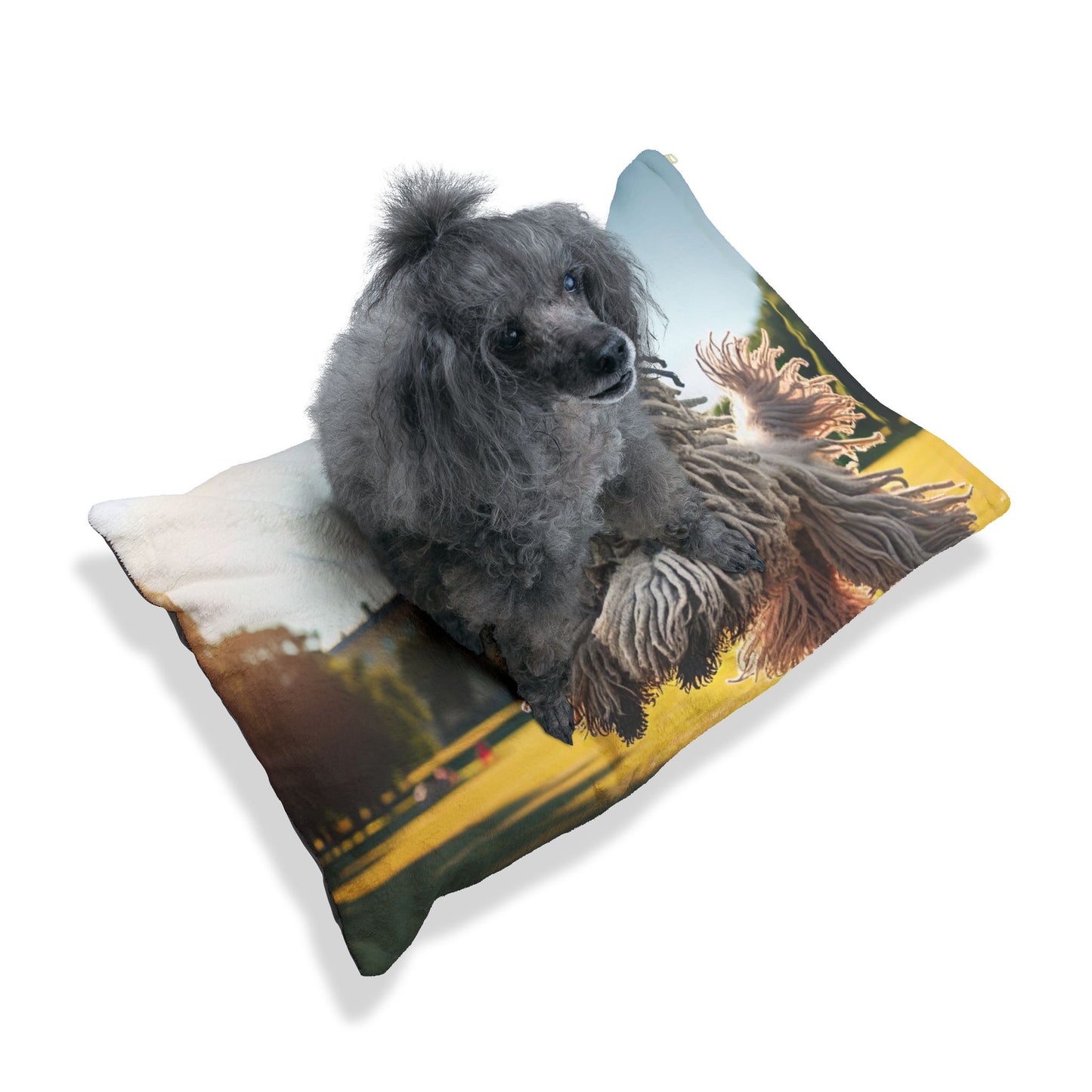 Puli Pet Bed