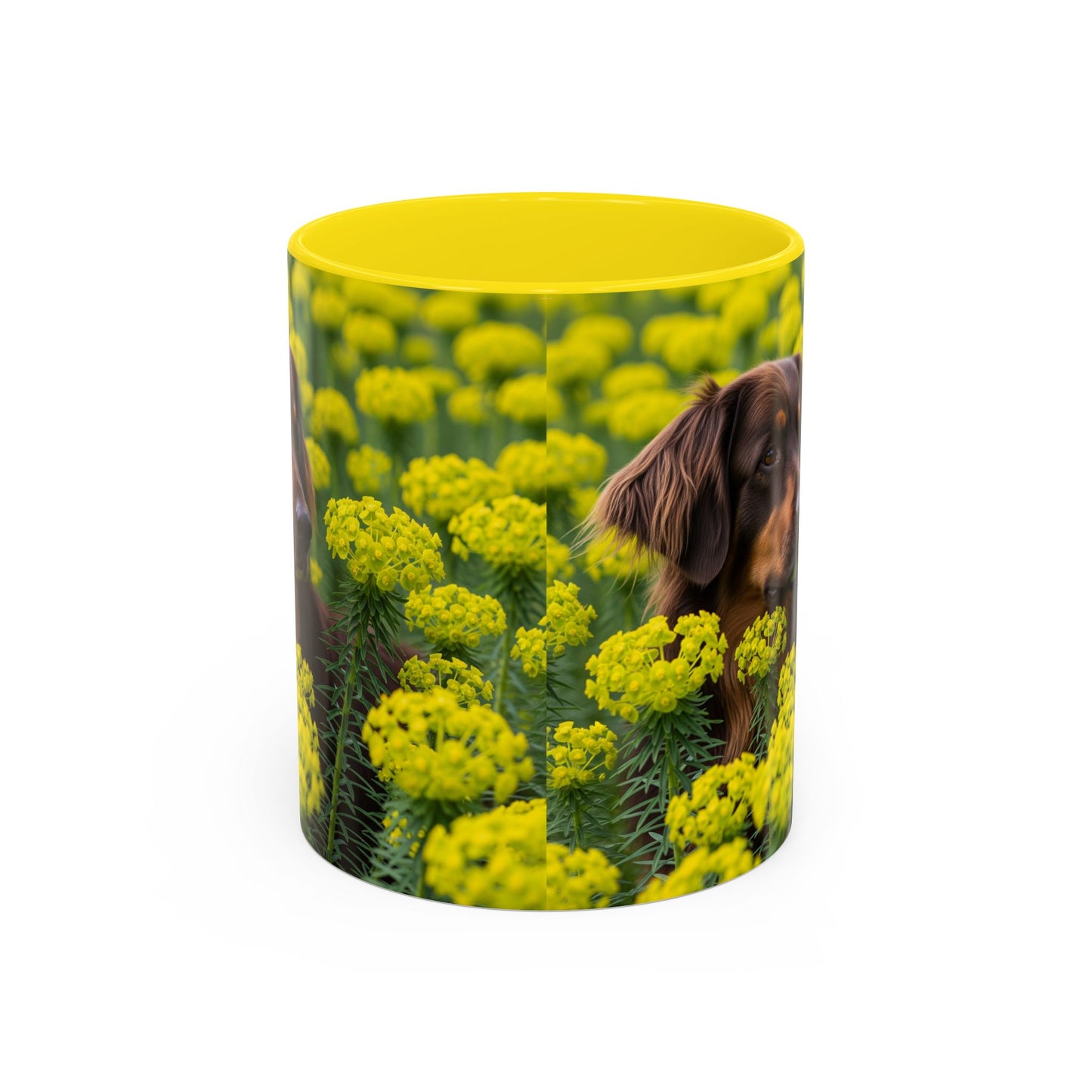 Hovawart Accent Coffee Mug - Perfect Gift for Dog Lovers