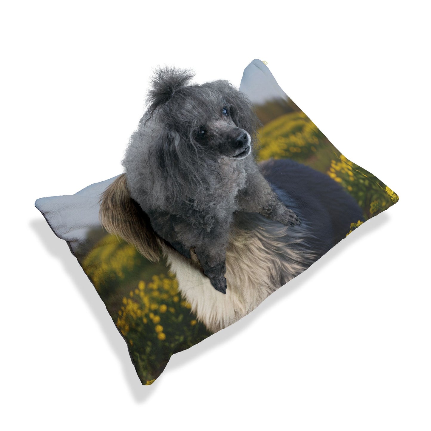 Polish Lowland Sheepdog Pet Bed