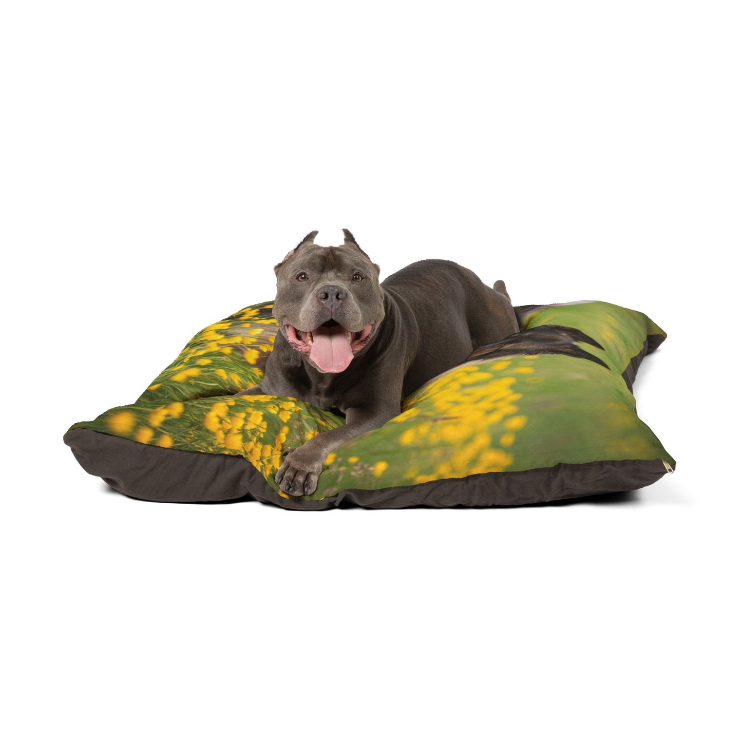 Belgian Sheepdog Pet Bed