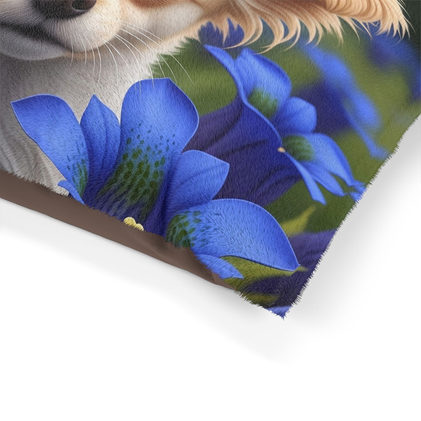 Toi Leo Pet Bed