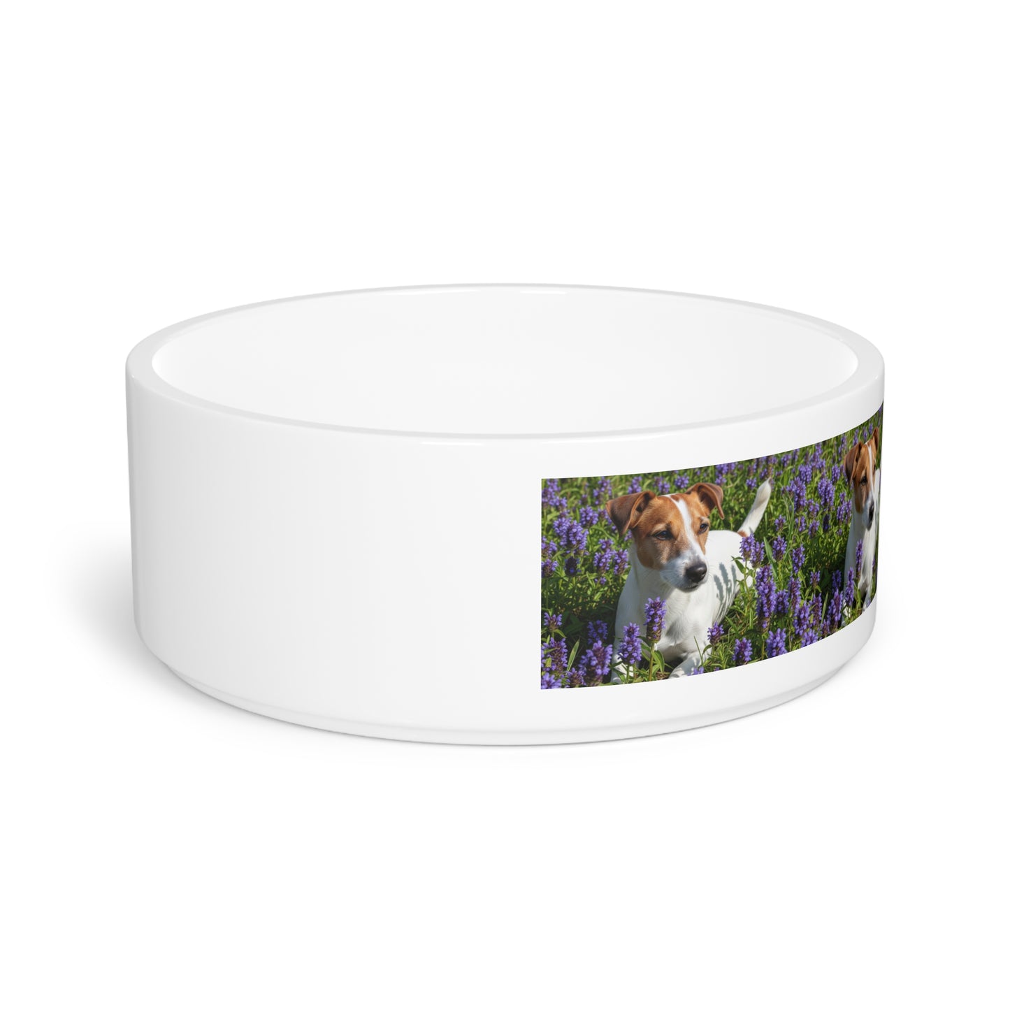 Jack Russell Terrier Pet Bowl