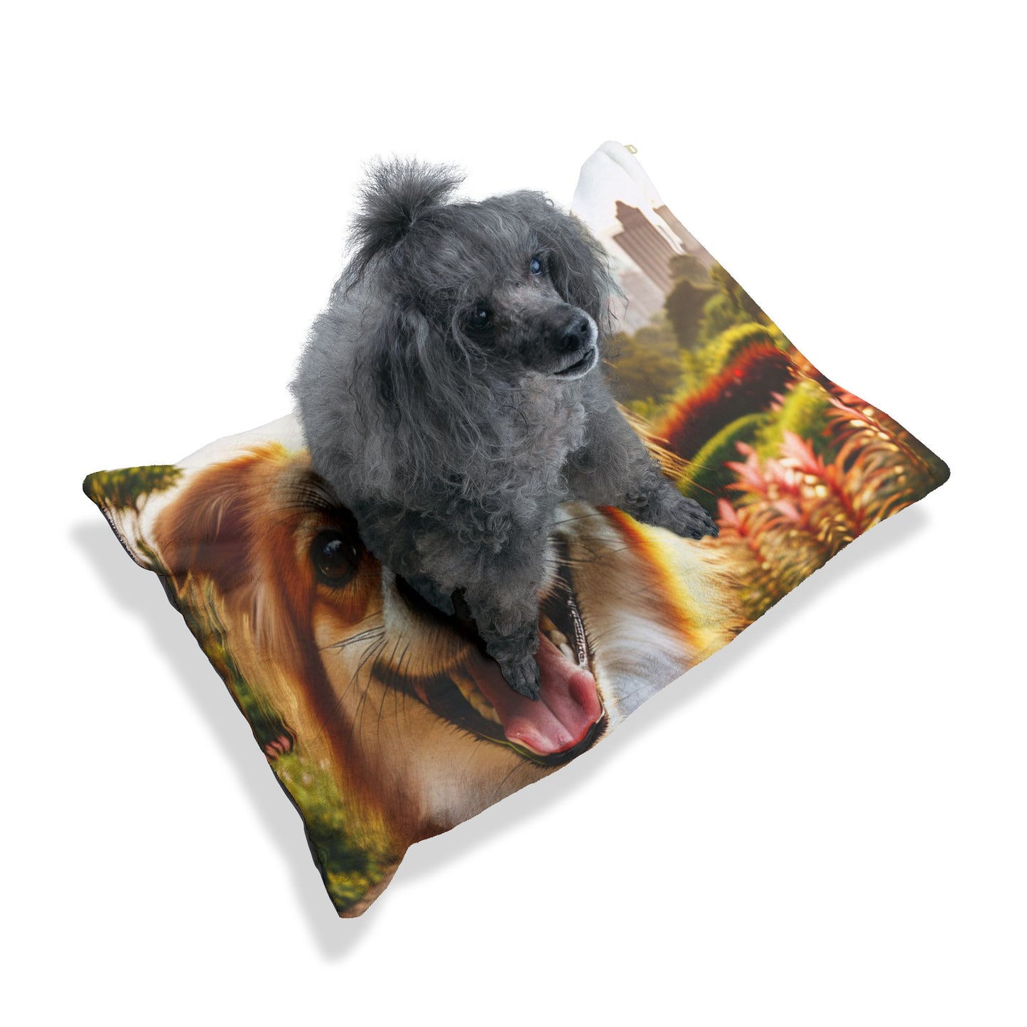 Taiwan Dog Pet Bed