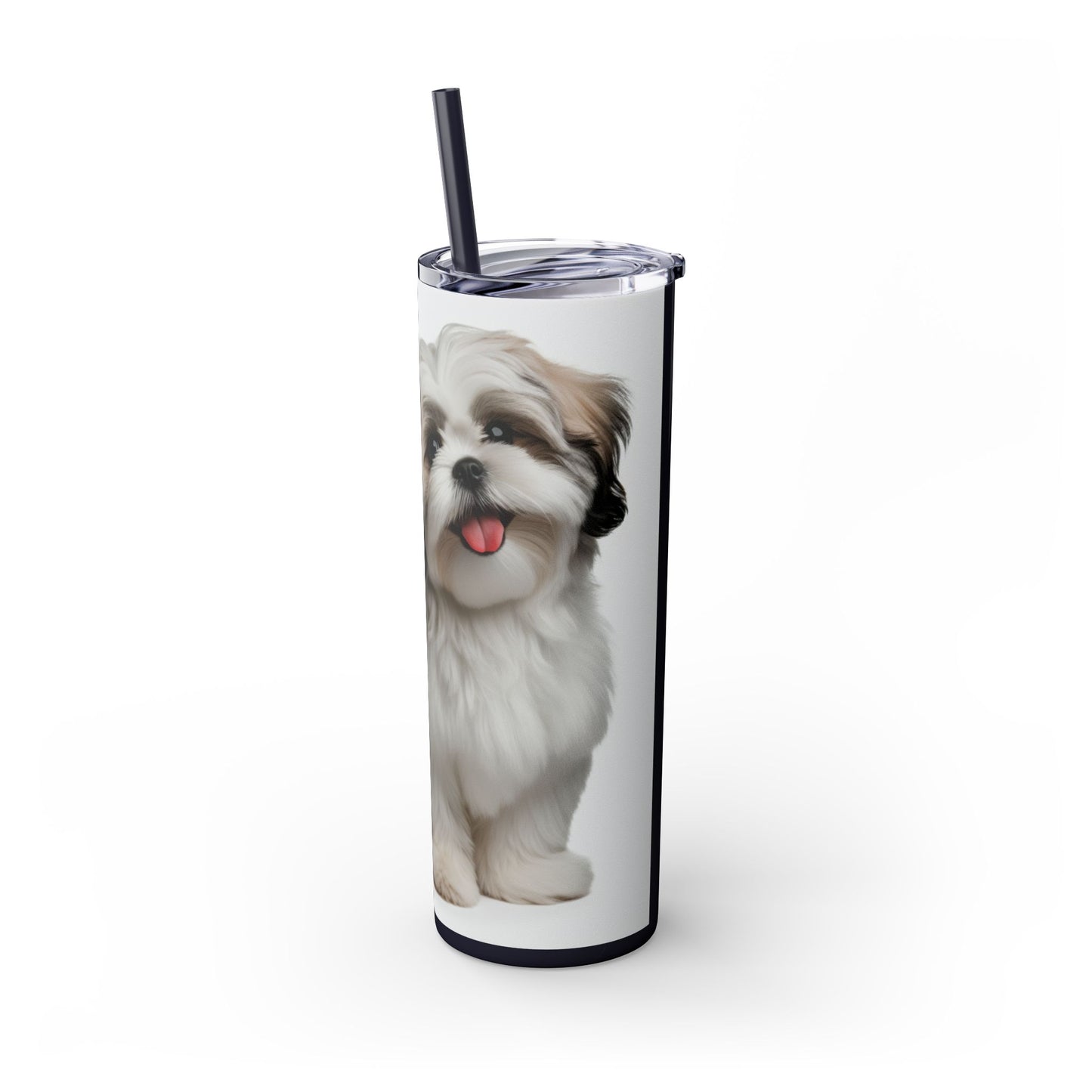 Shihchon Tumbler with Straw, 20oz