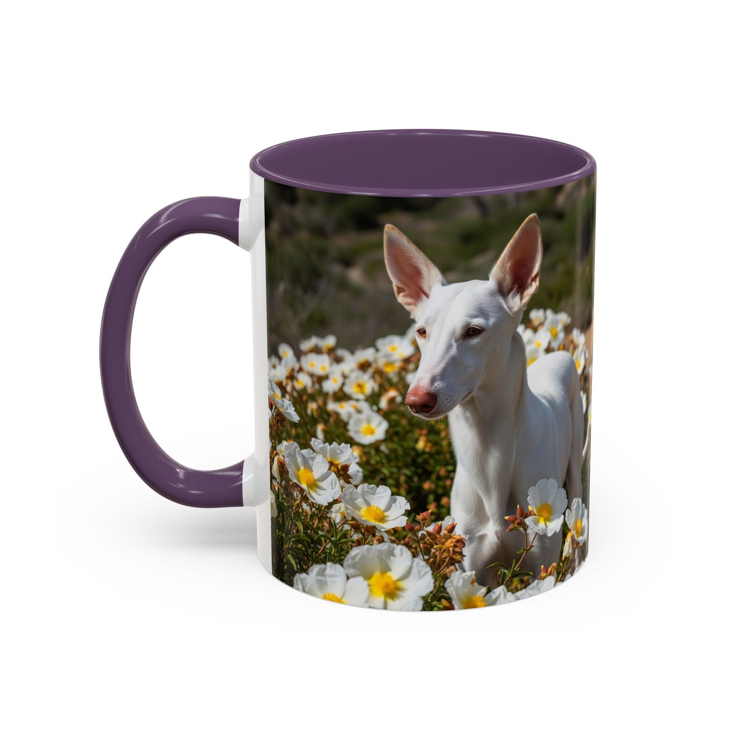 Ibizan Hound Accent Coffee Mug - Perfect Gift for Dog Lovers