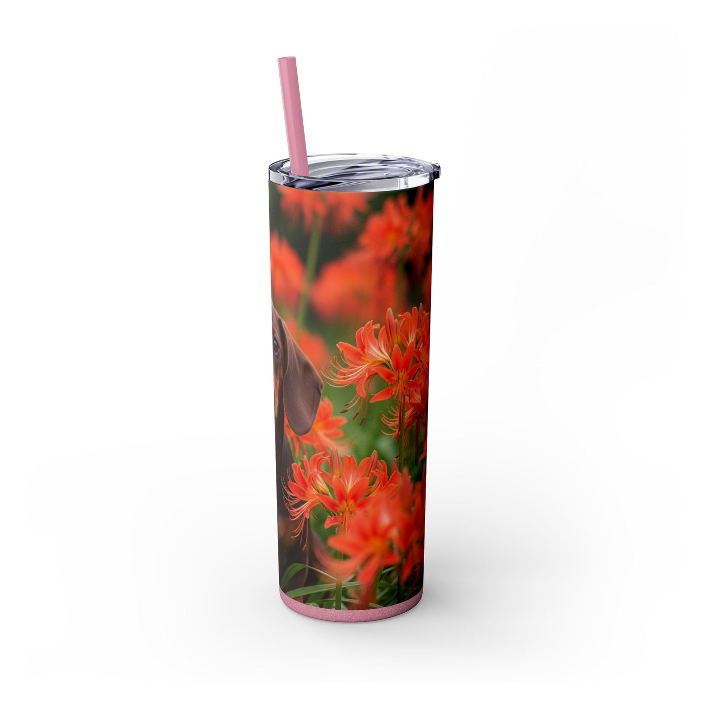 Gobelet isotherme Teckel avec paille, 590 ml