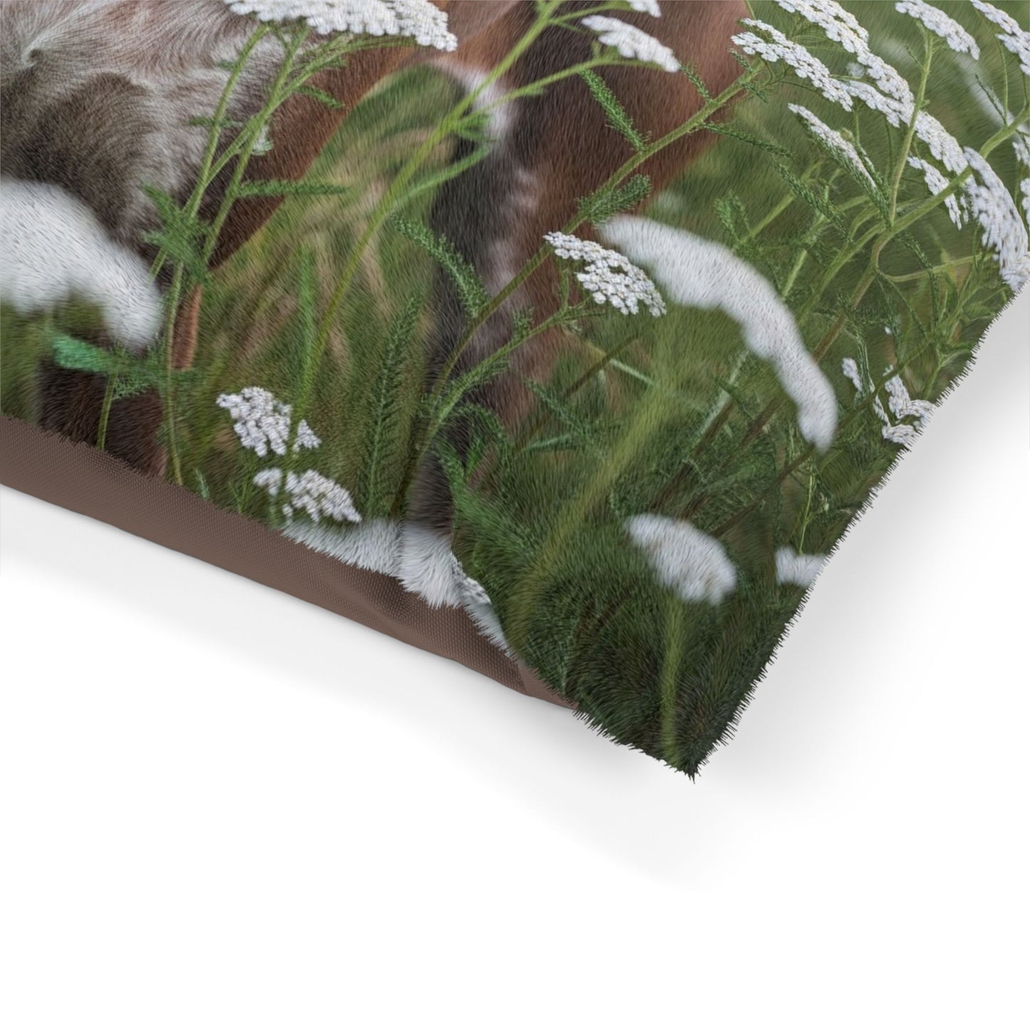 Braque du Bourbonnais Pet Bed