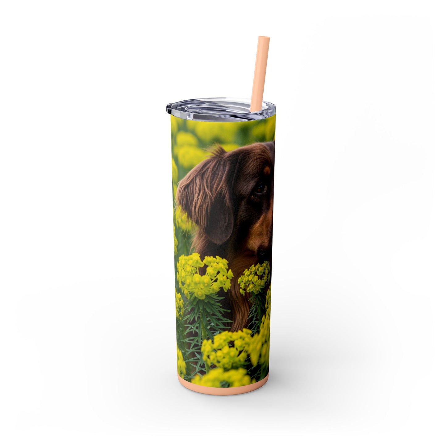 Hovawart Tumbler with Straw, 20oz