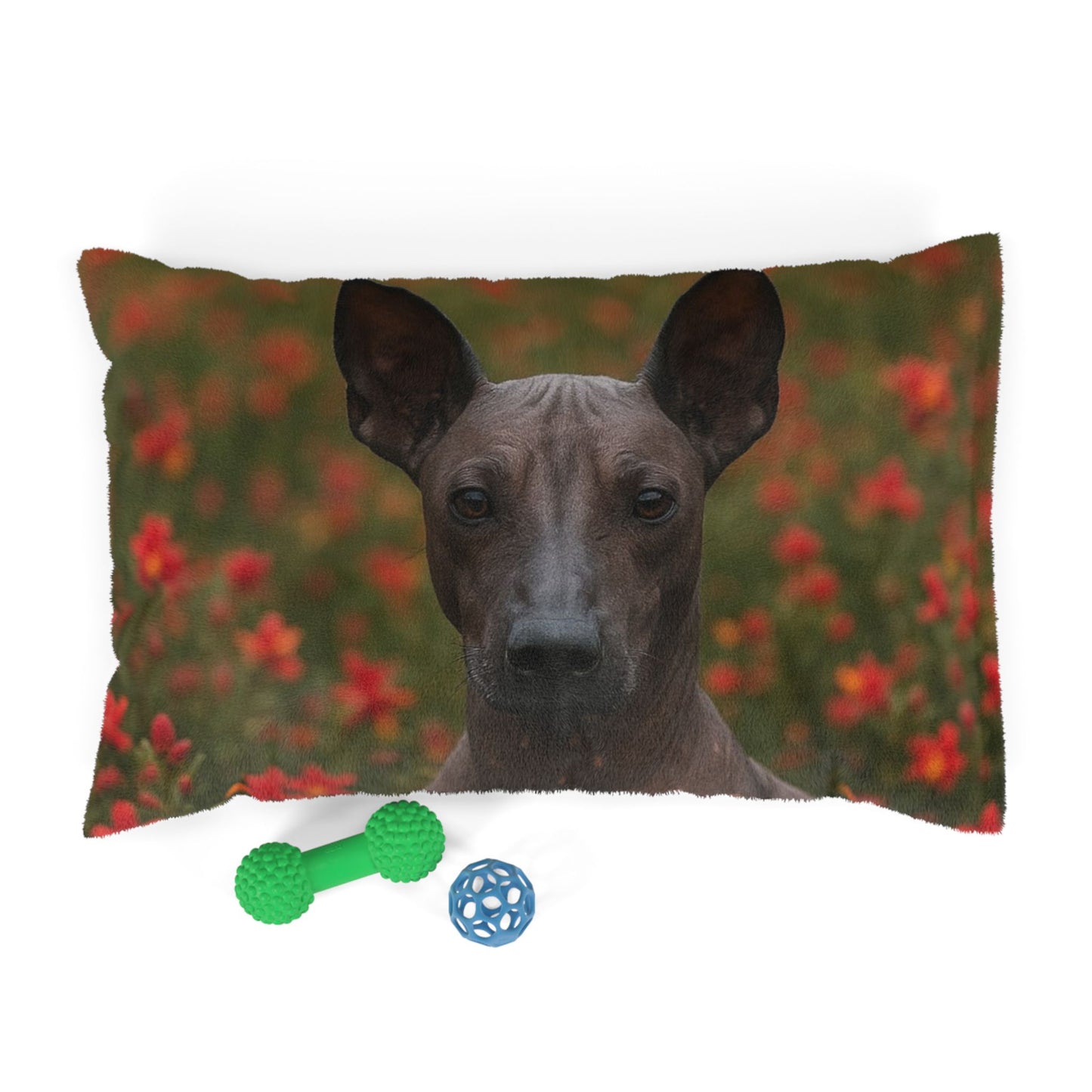 Peruvian Inca Orchid Pet Bed