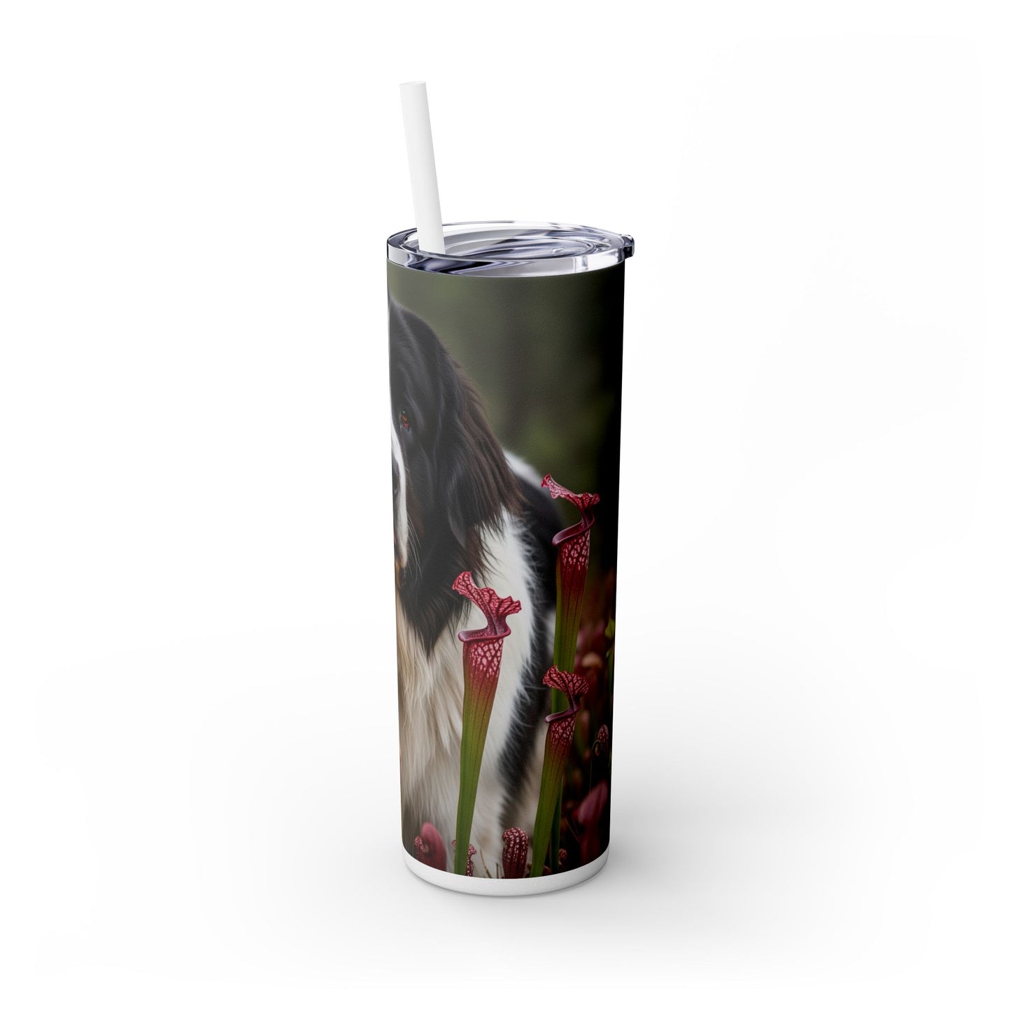 Landseer Tumbler with Straw, 20oz