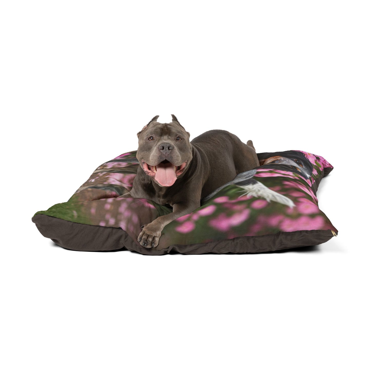Blue Picardy Spaniel Pet Bed