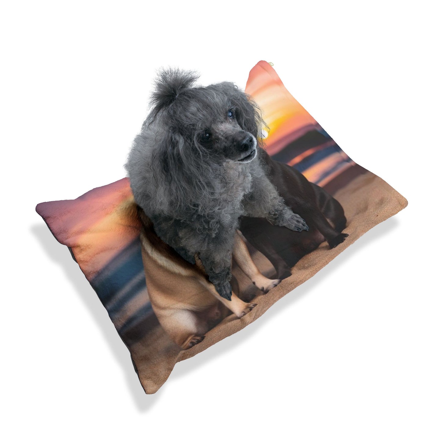 Pug Love Pet Bed