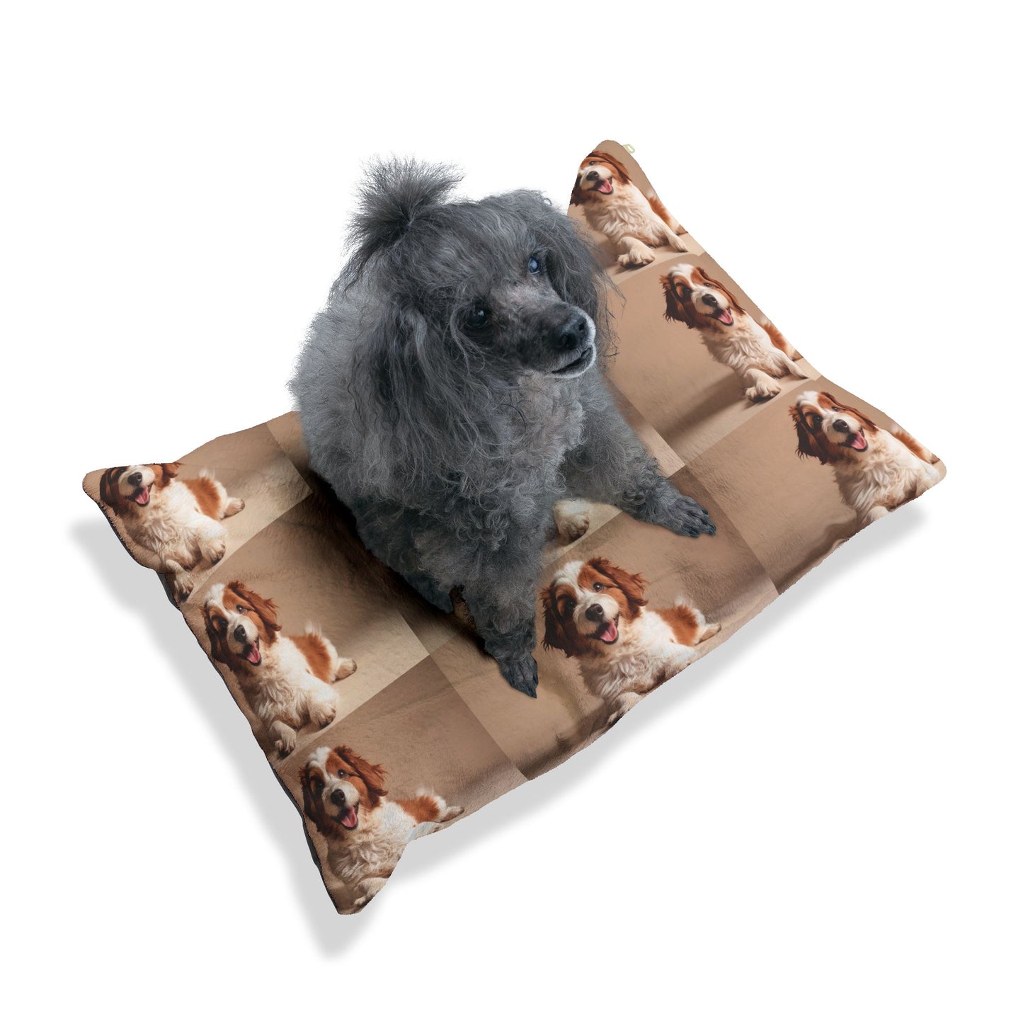 Lagotto Romagnolo Pet Bed