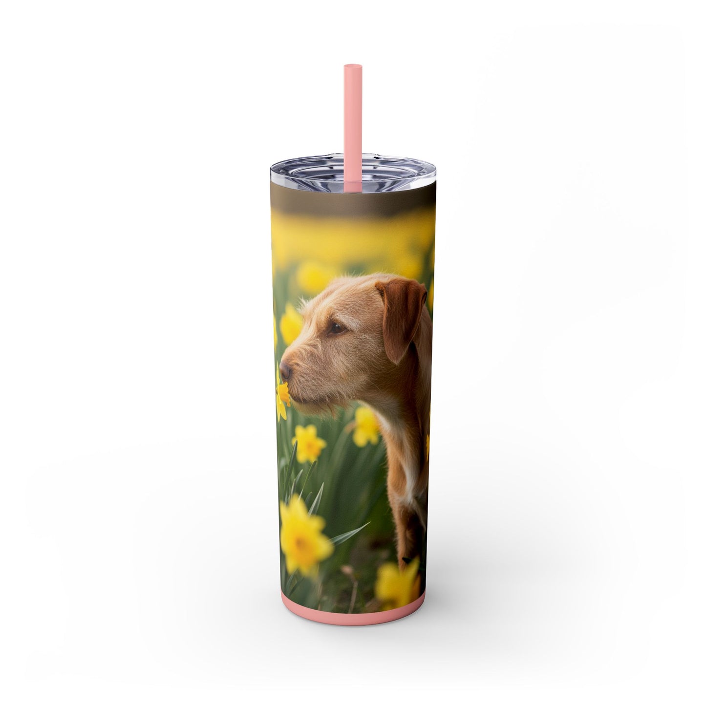 Portuguese Podengo Pequeno Skinny Tumbler with Straw, 20oz