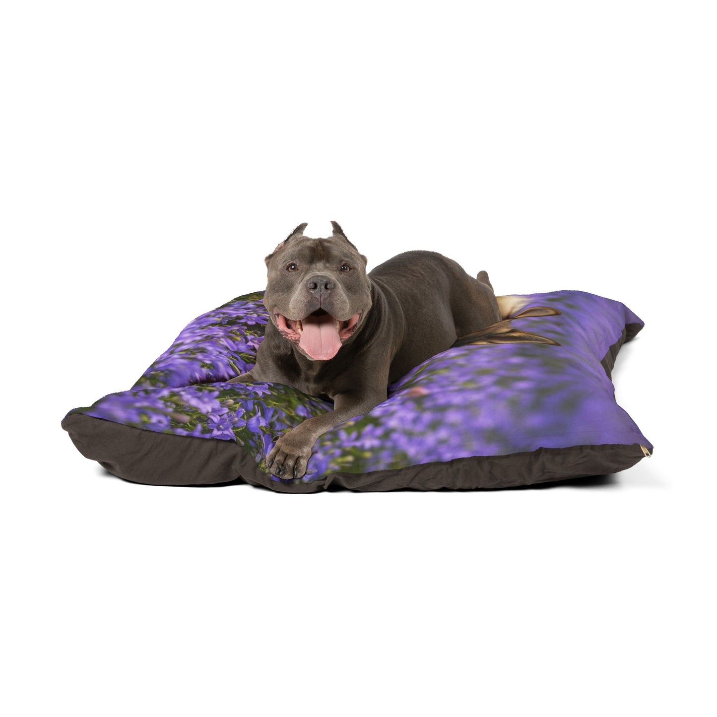 Swedish Vallhund Pet Bed