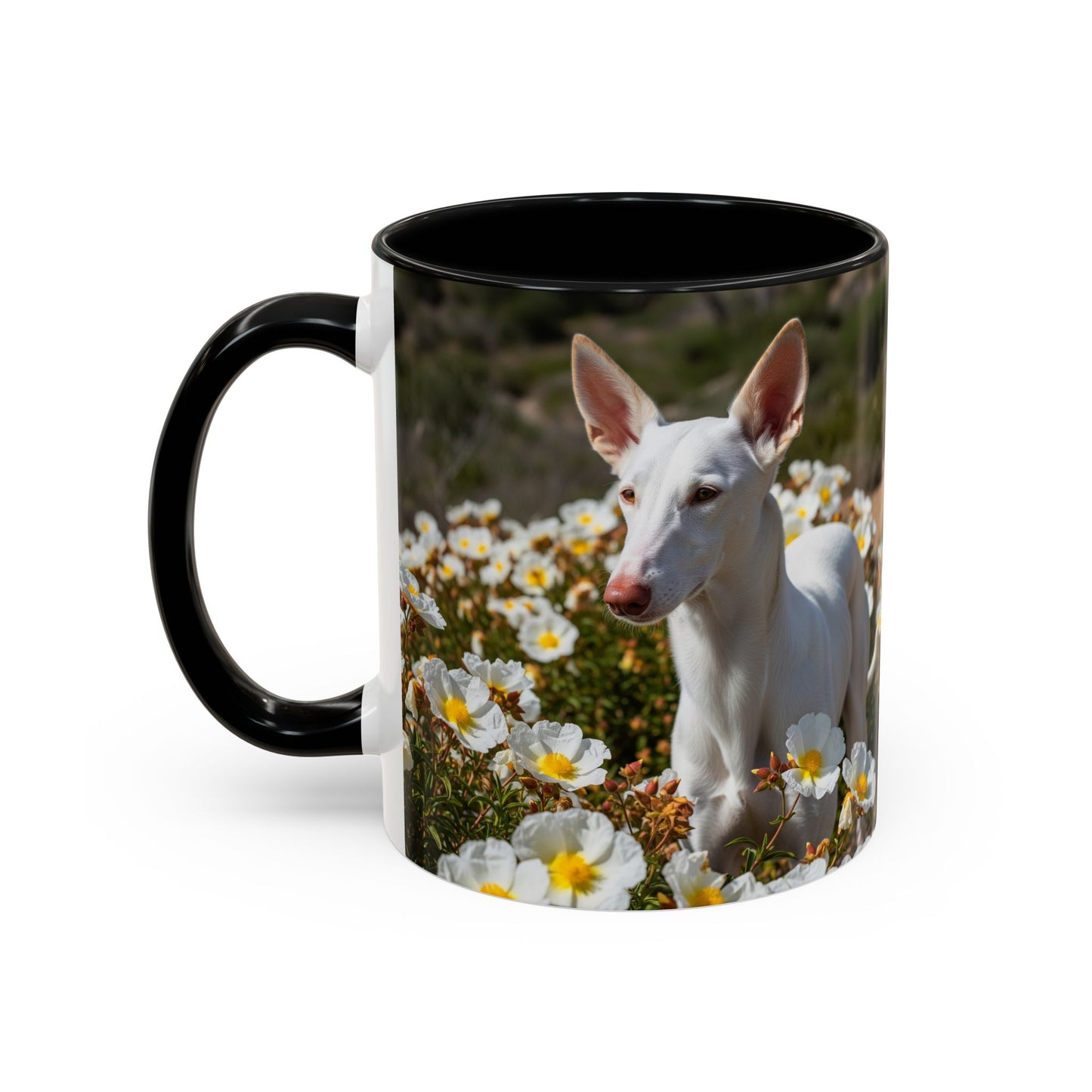 Ibizan Hound Accent Coffee Mug - Perfect Gift for Dog Lovers