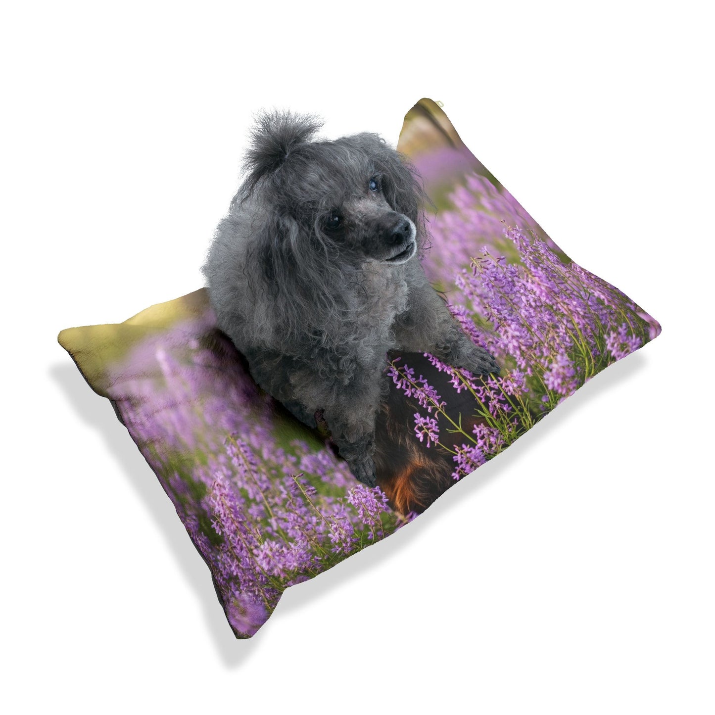 Gordon Setter Pet Bed