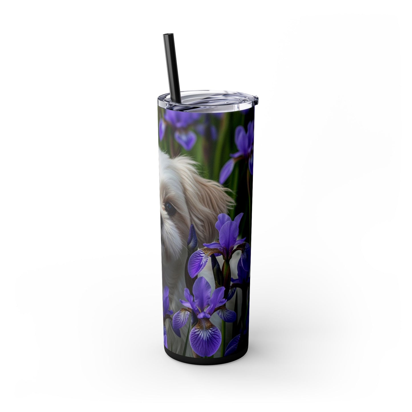 Shihchon Tumbler with Straw, 20oz