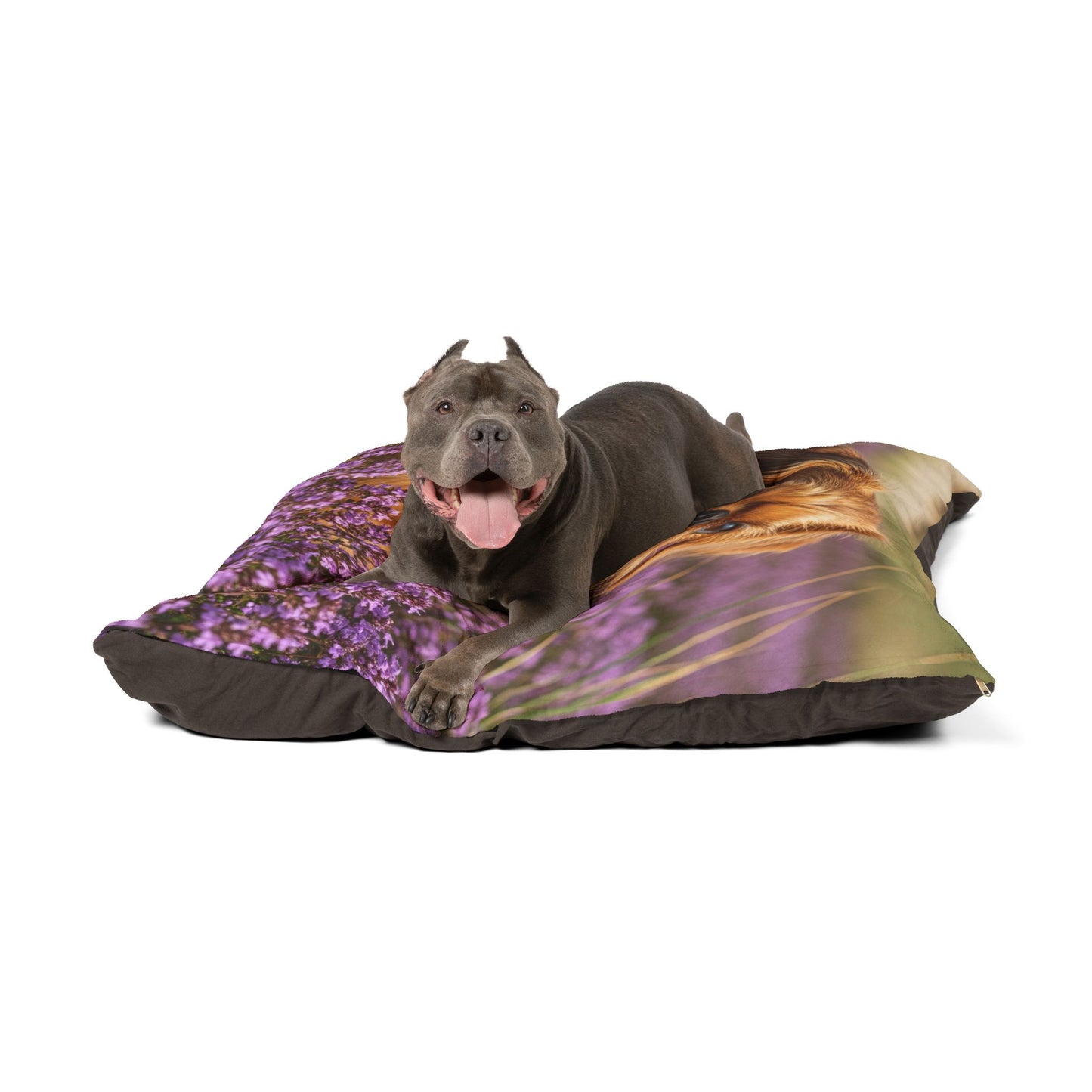 Griffon Bruxellois Pet Bed