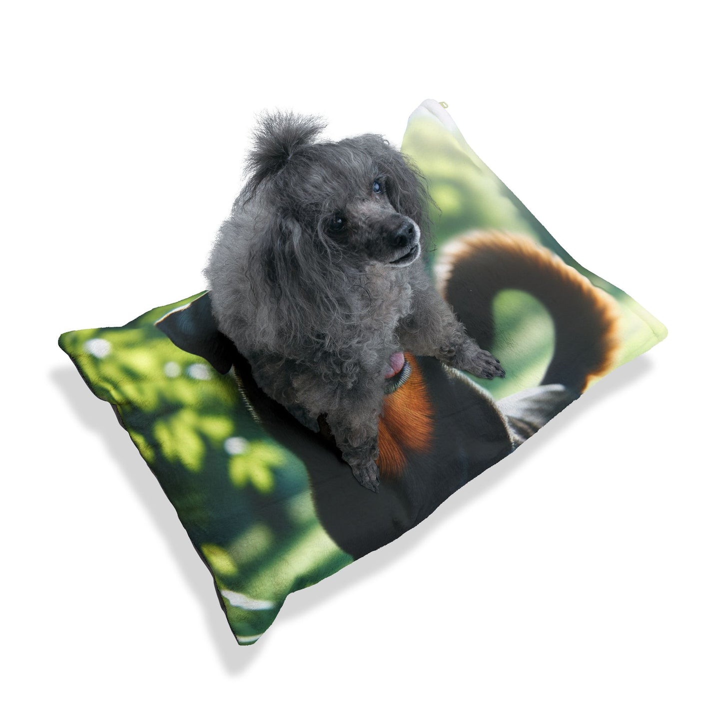 Beauceron Pet Bed