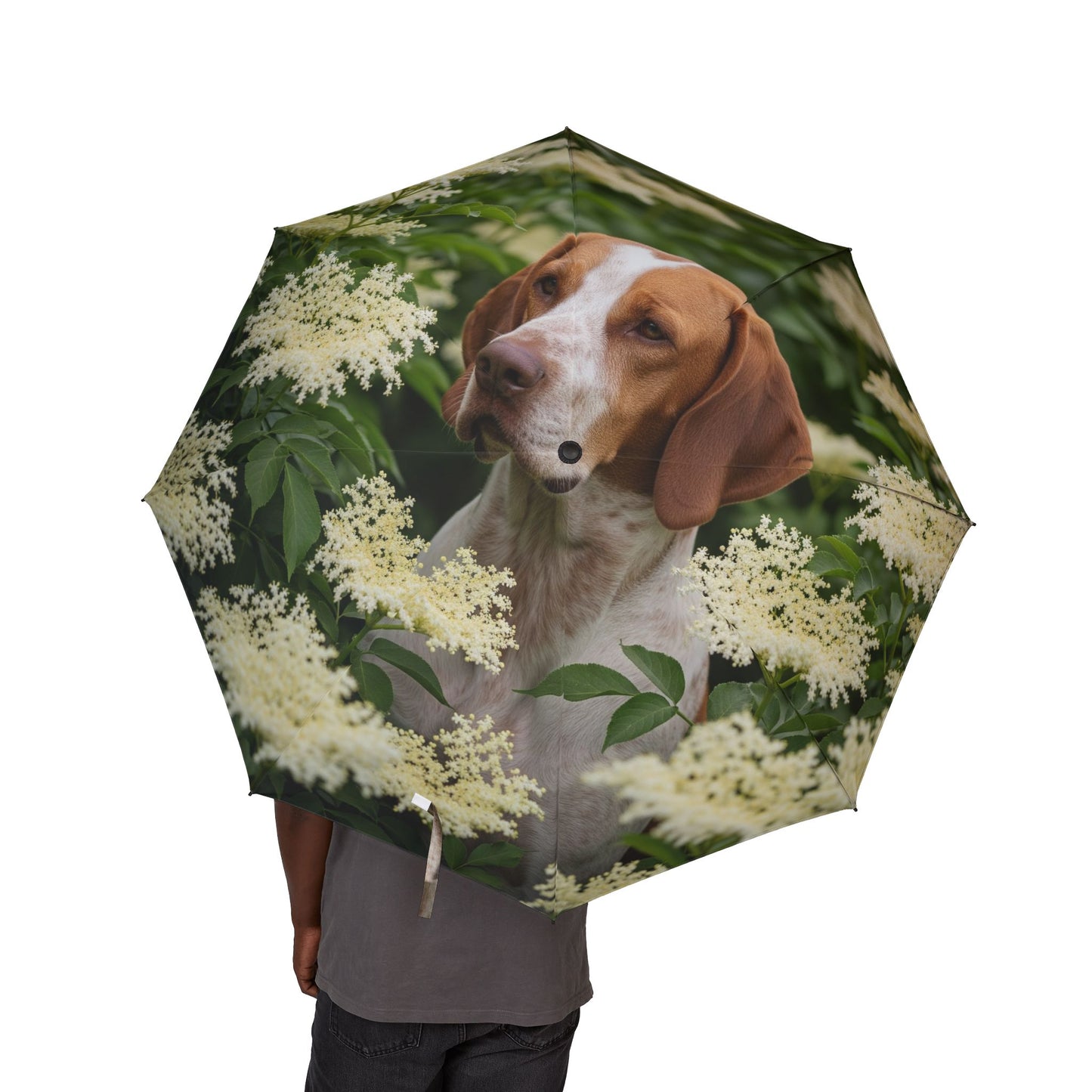 Braque St. Germain Semi-Automatic Foldable Umbrella