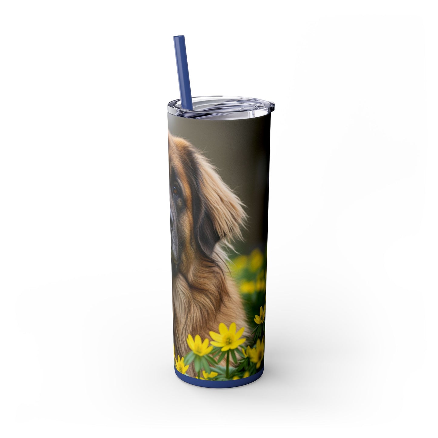Leonberger Tumbler with Straw, 20oz