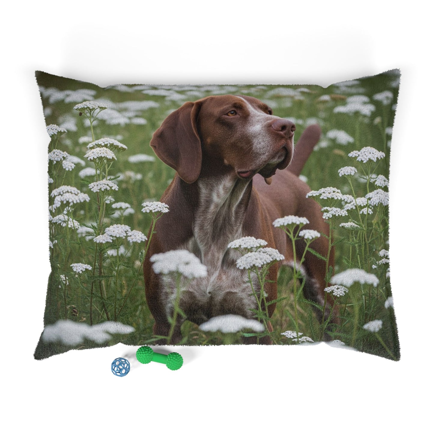 Braque du Bourbonnais Pet Bed