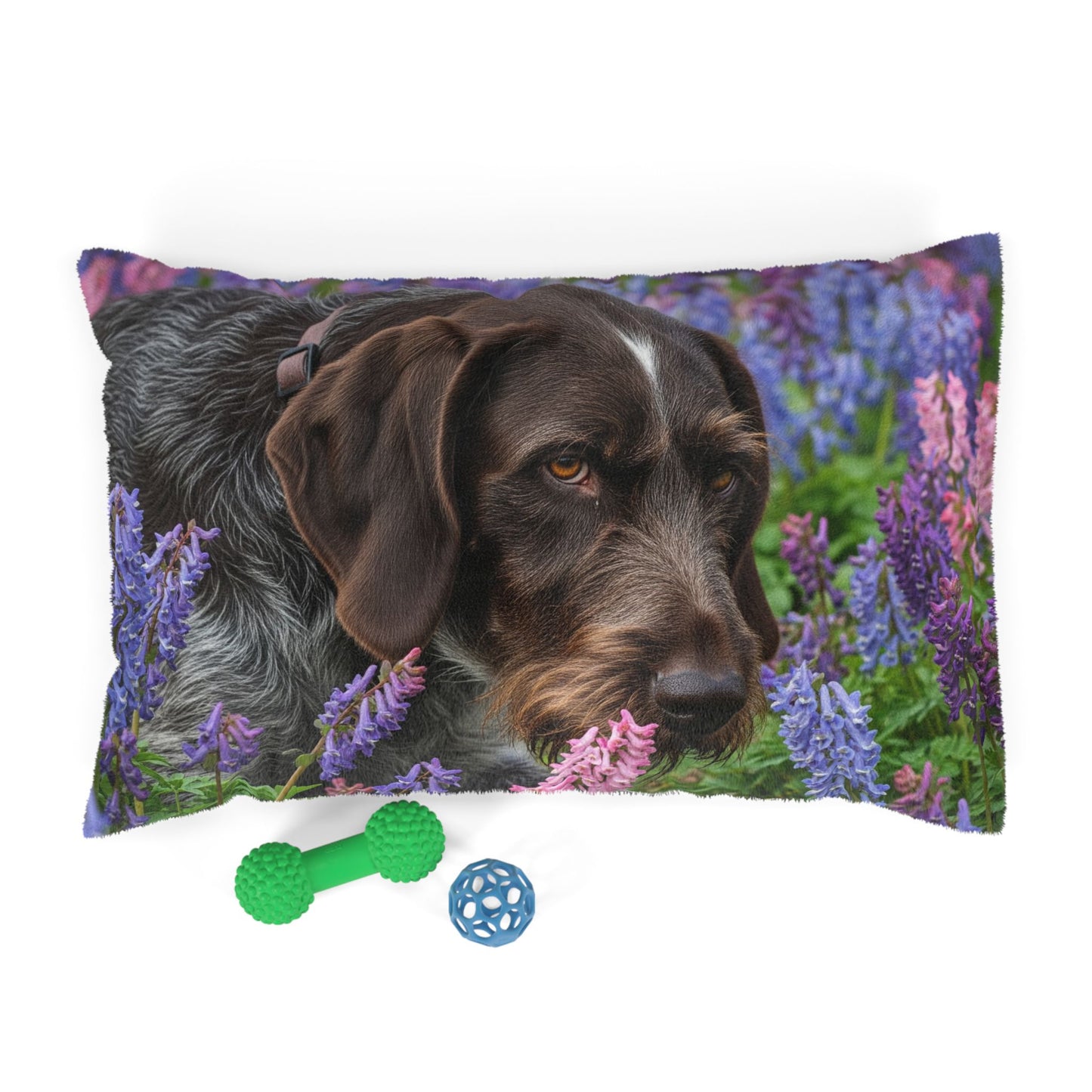 Wirehaired Slovakian Pointer Pet Bed