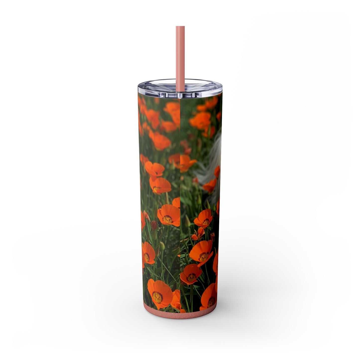 Havanese Tumbler with Straw, 20oz