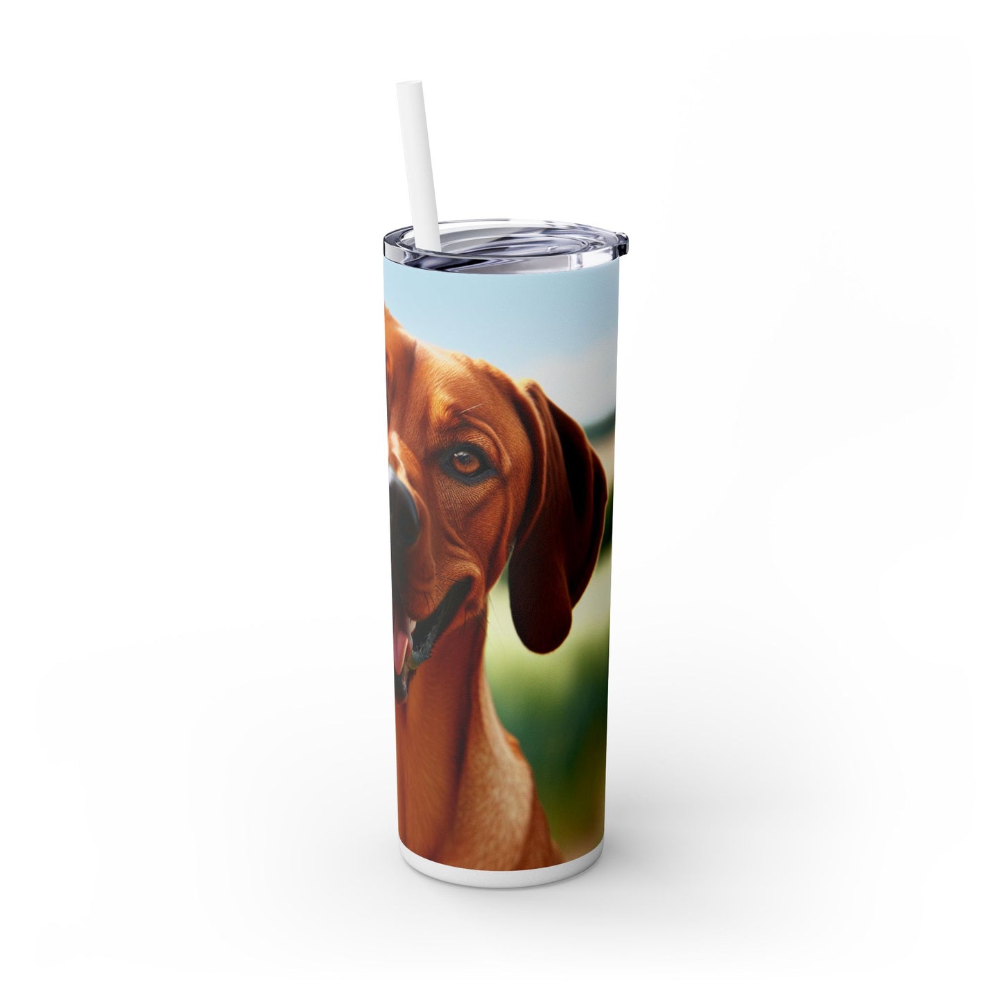 Portuguese Pointer Tumbler with Straw, 20oz