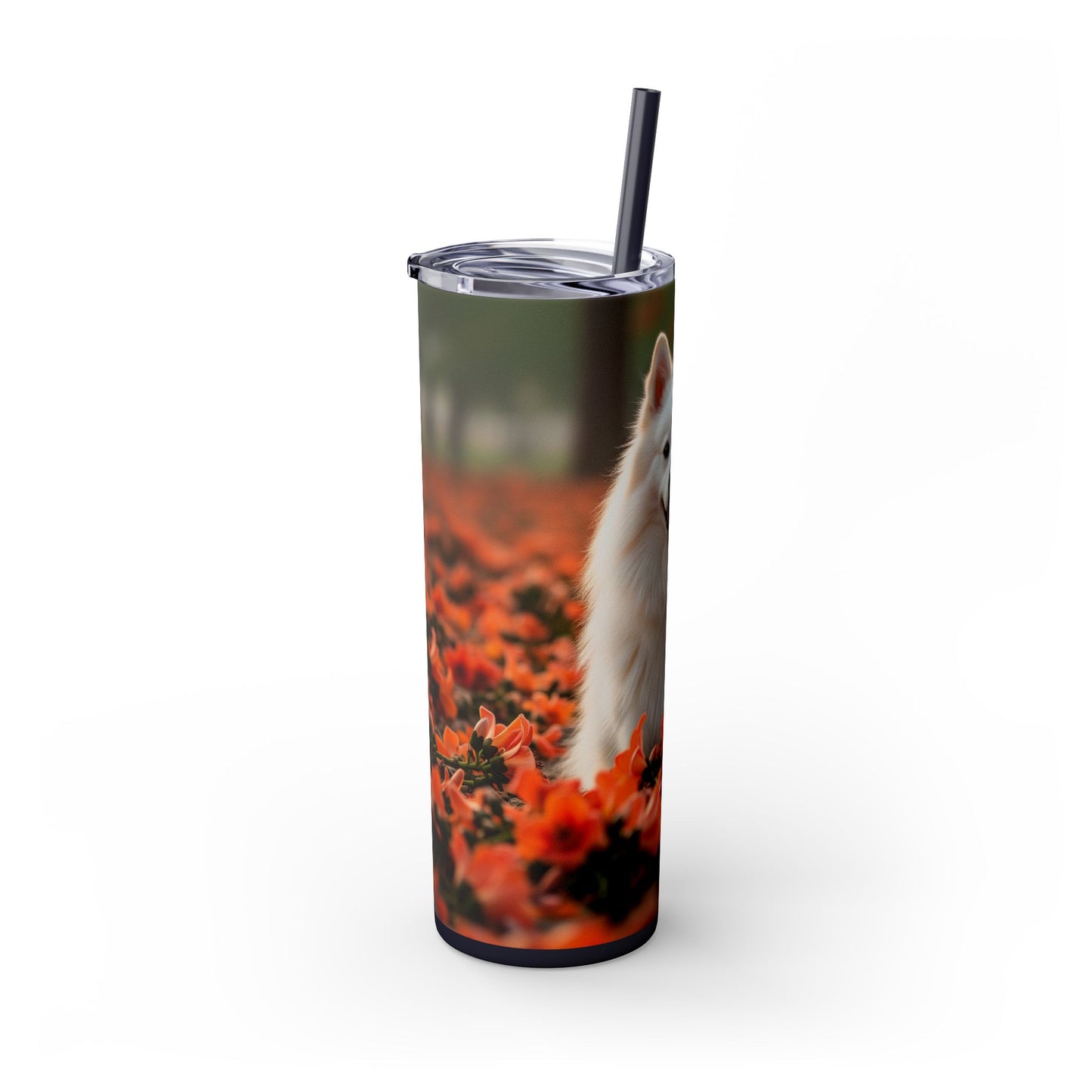 Indian Spitz Tumbler with Straw, 20oz