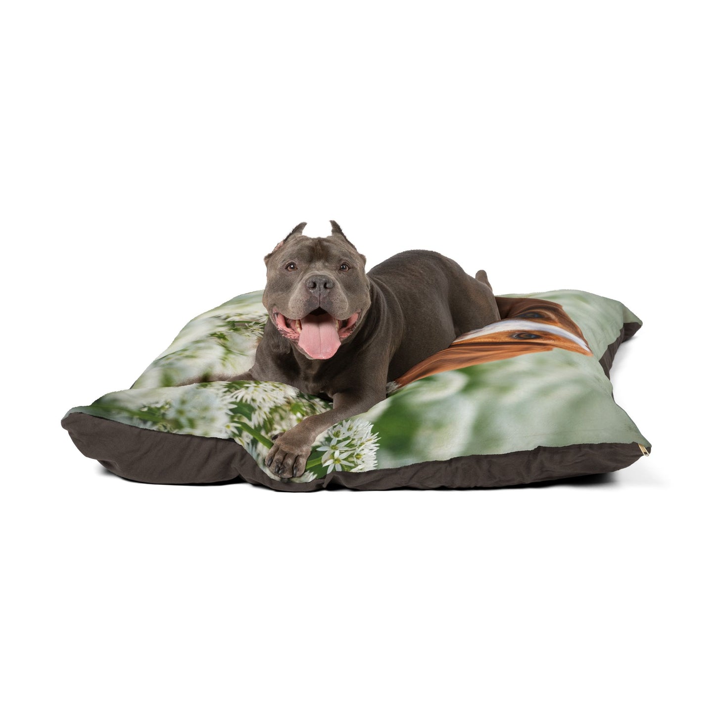 Petit Basset Griffon Vendeen Pet Bed