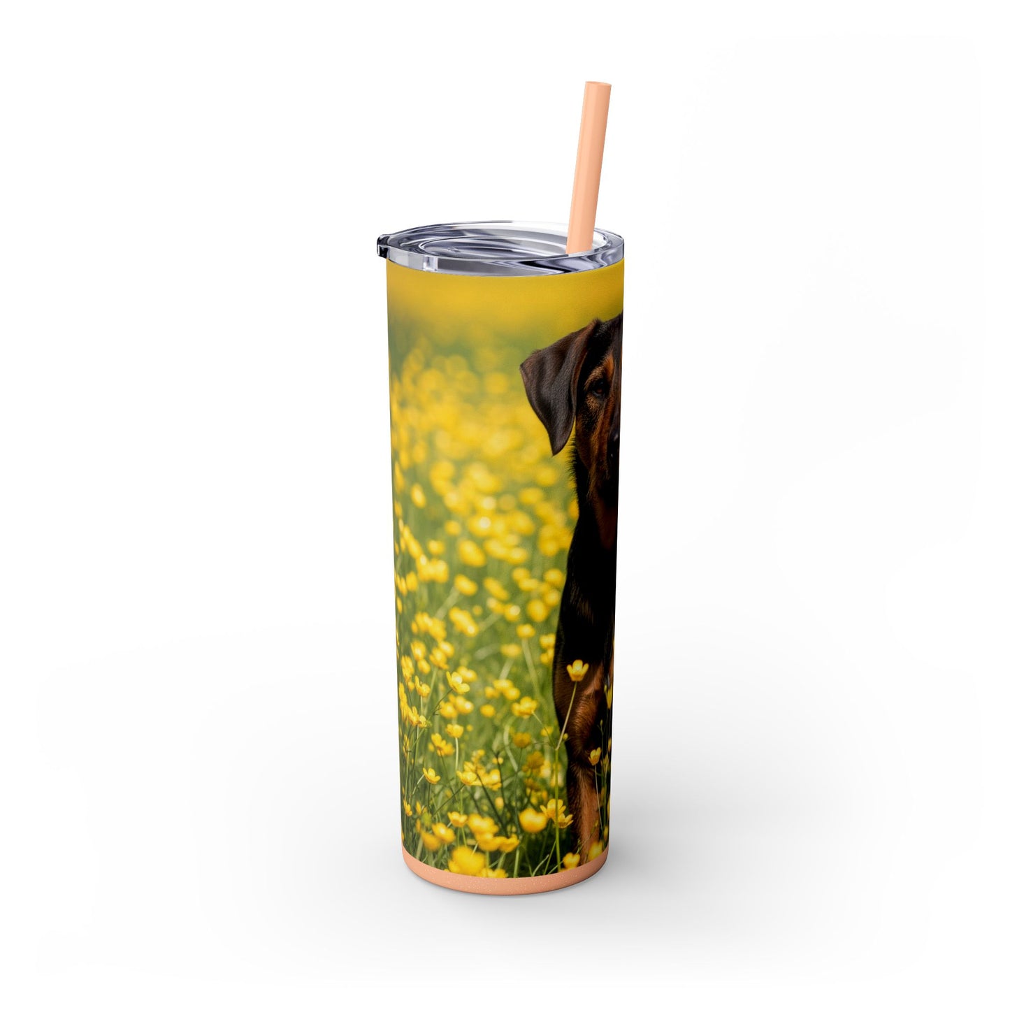 Drever Tumbler with Straw, 20oz