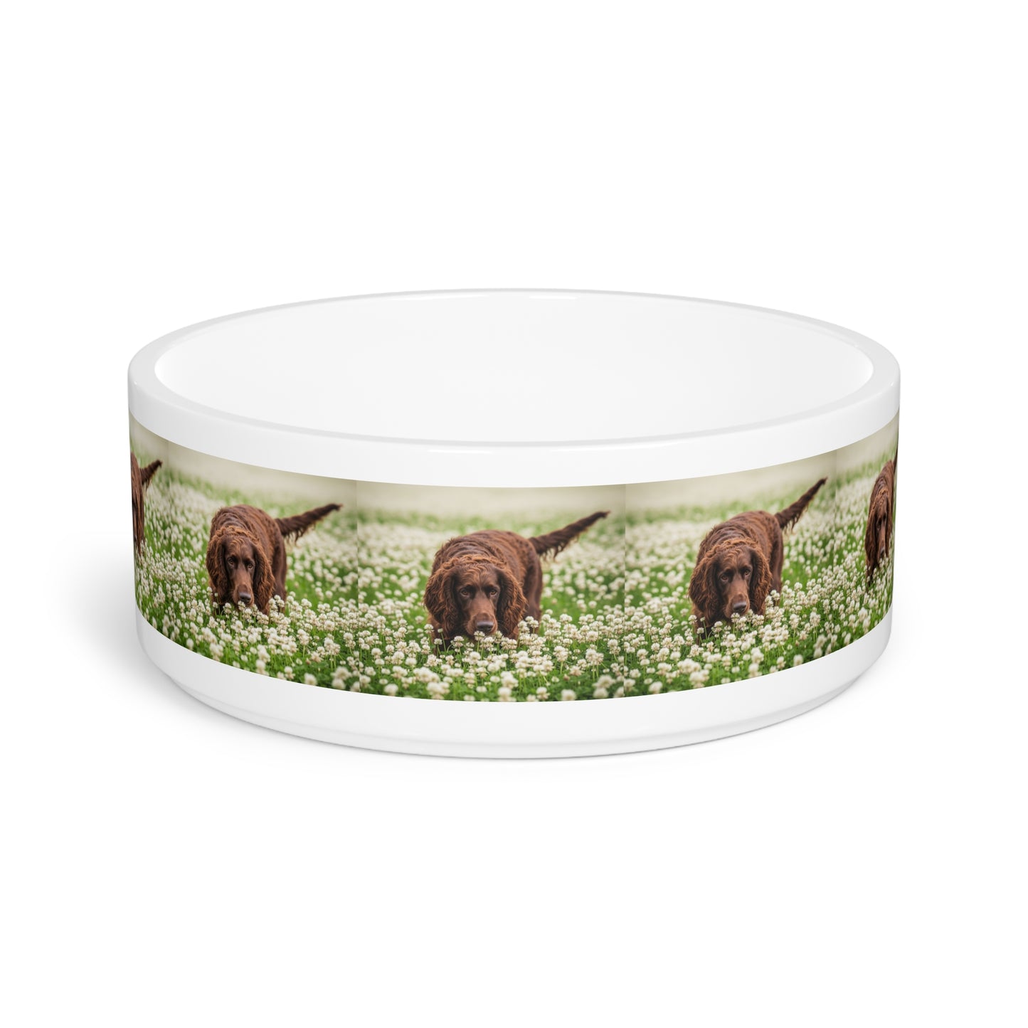 Irish Water Spaniel Pet Bowl