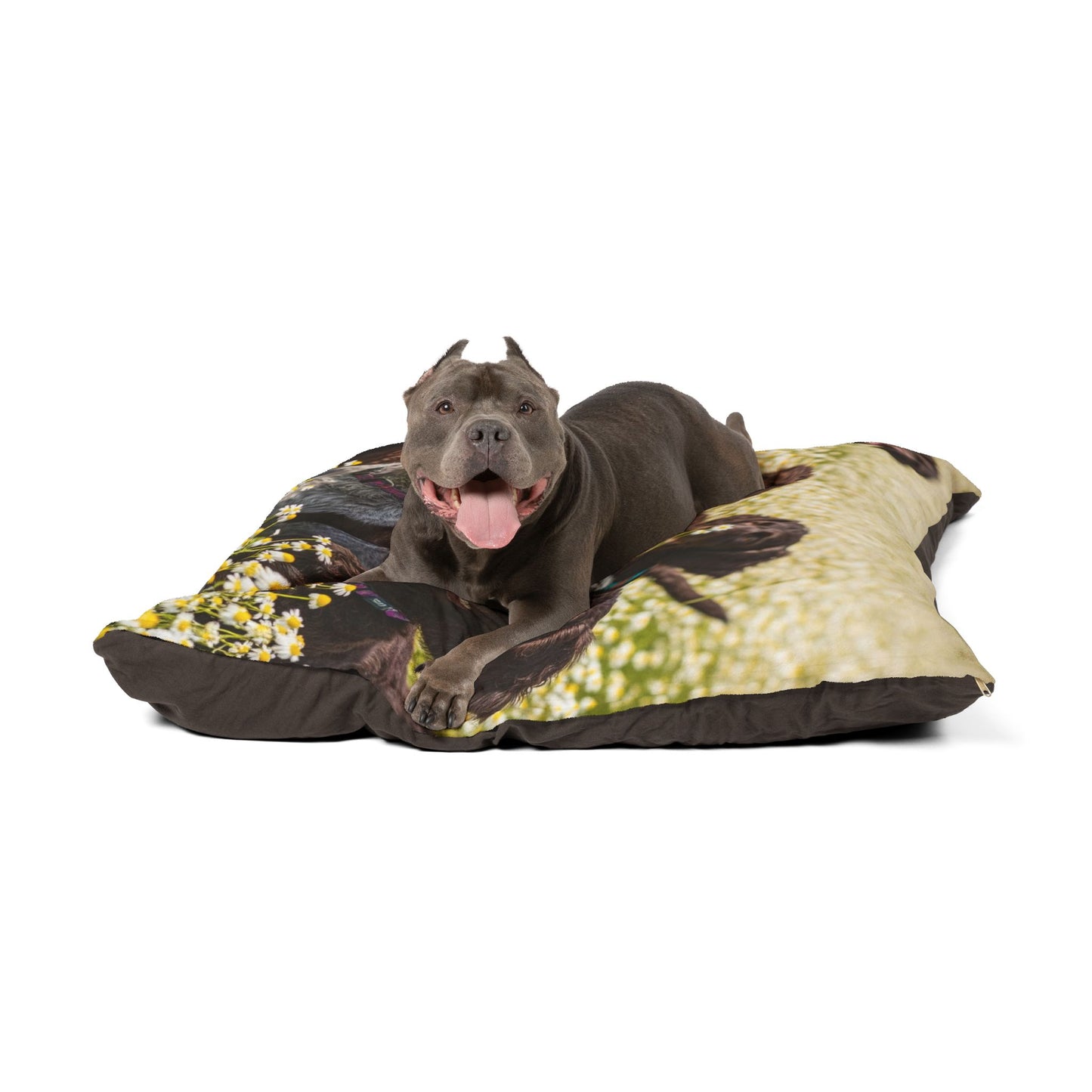 Pudelpointer Pet Bed