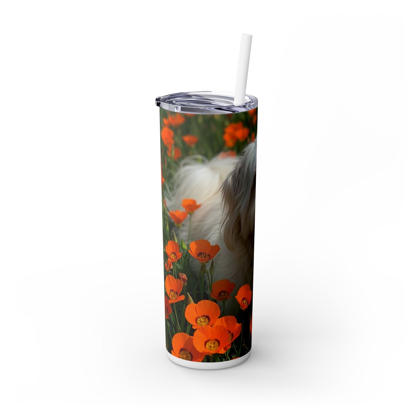 Havanese Tumbler with Straw, 20oz