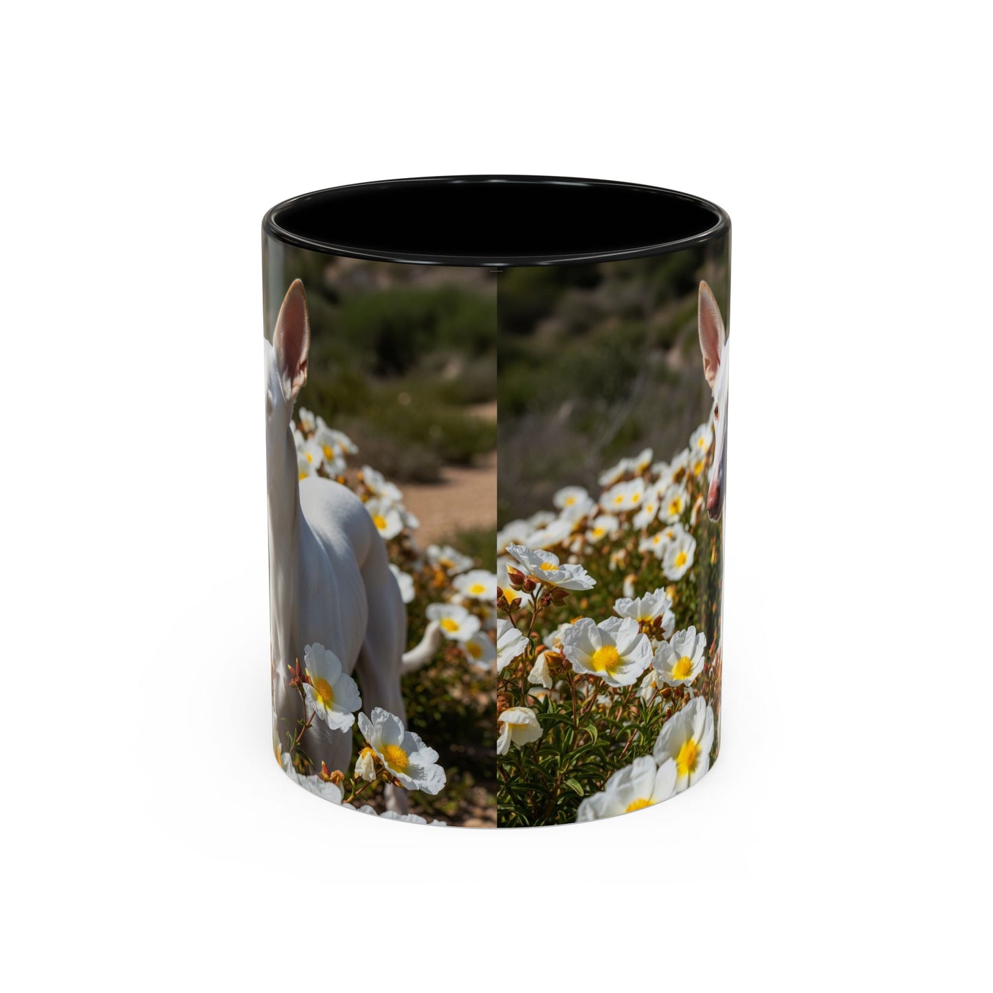 Ibizan Hound Accent Coffee Mug - Perfect Gift for Dog Lovers