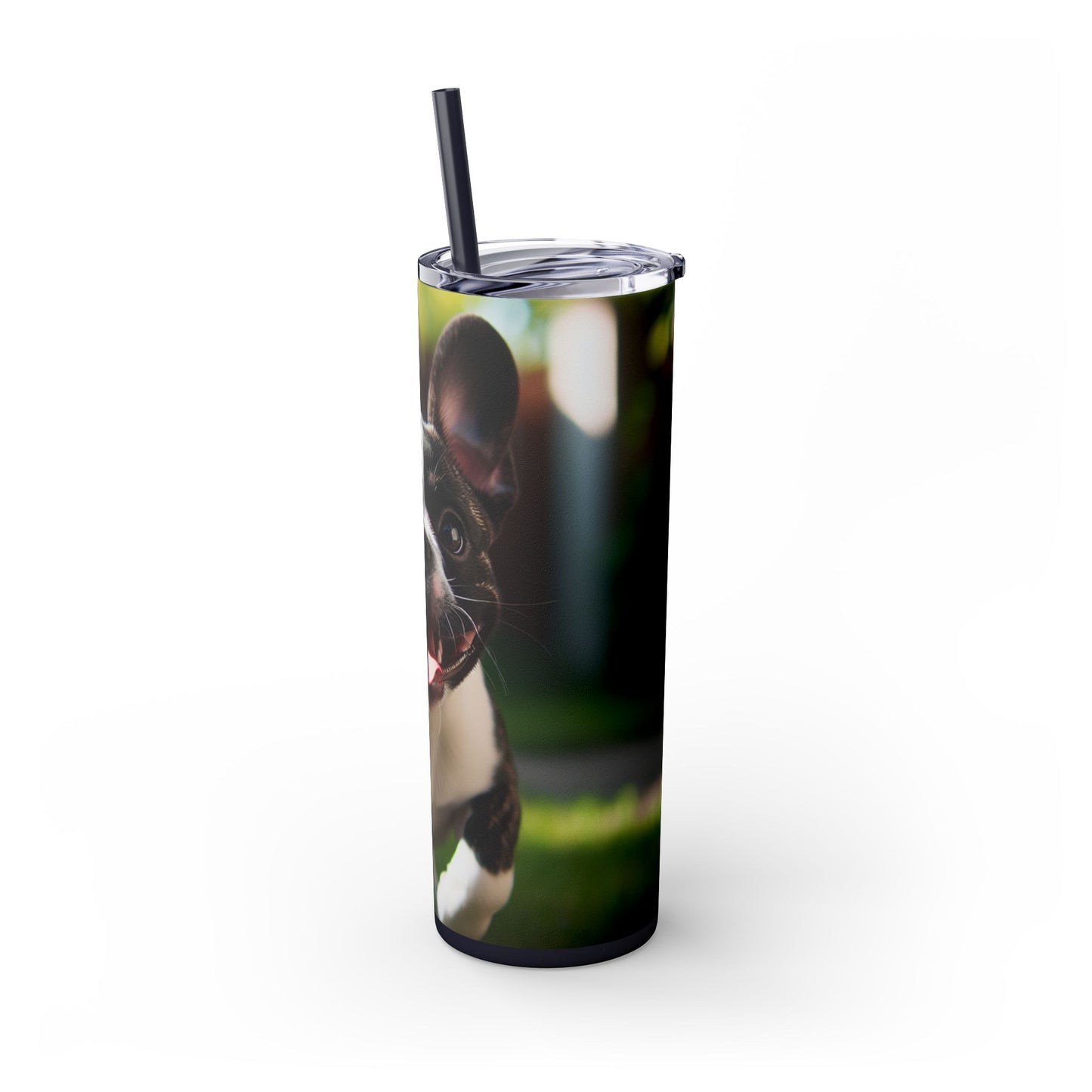 Frenchton Tumbler with Straw, 20oz