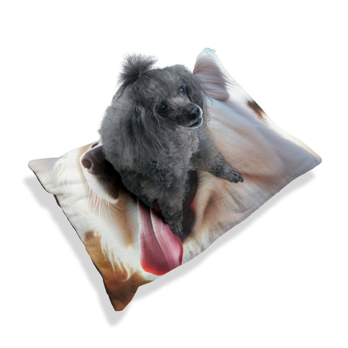Pyrenean Mountain Dog Pet Bed