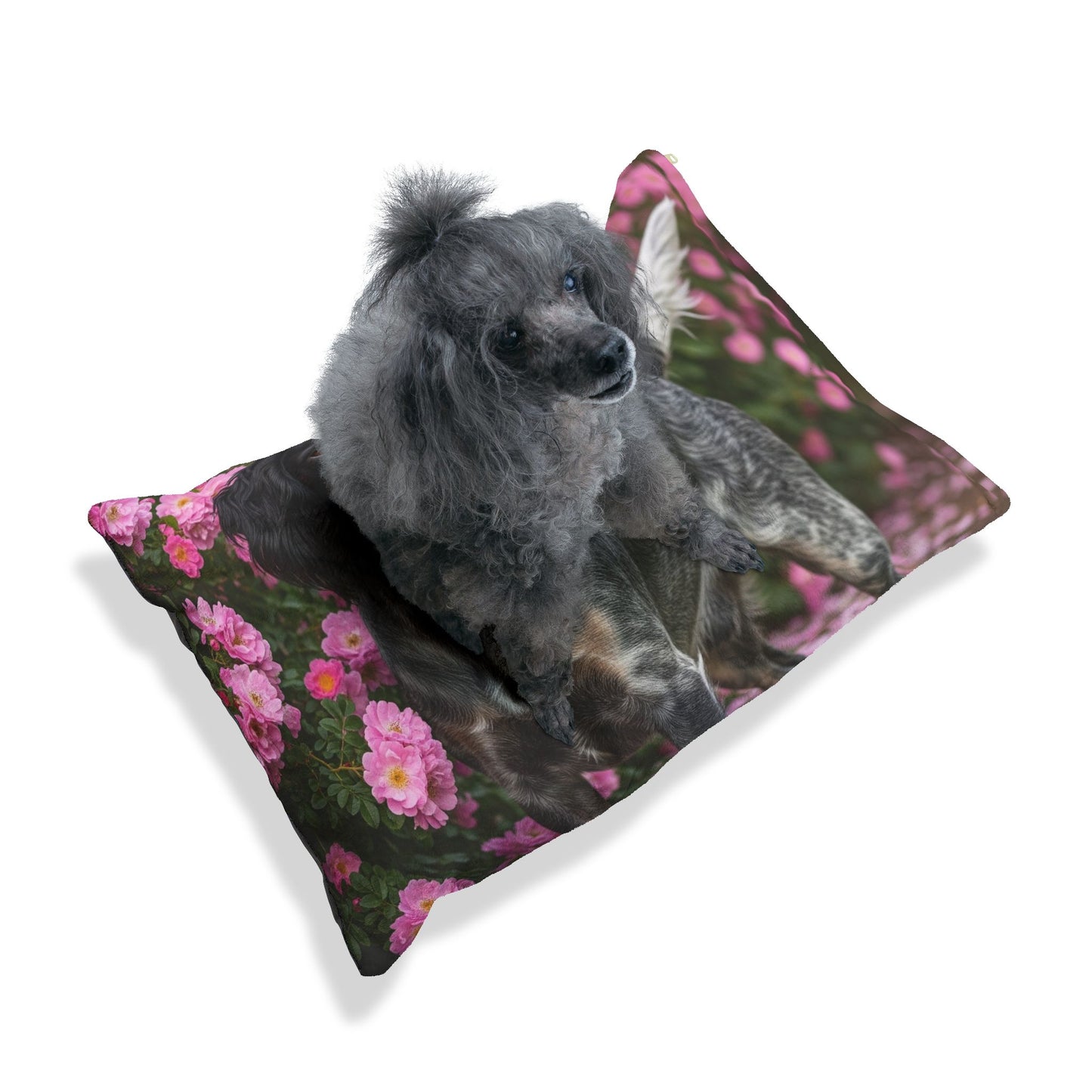 Blue Picardy Spaniel Pet Bed
