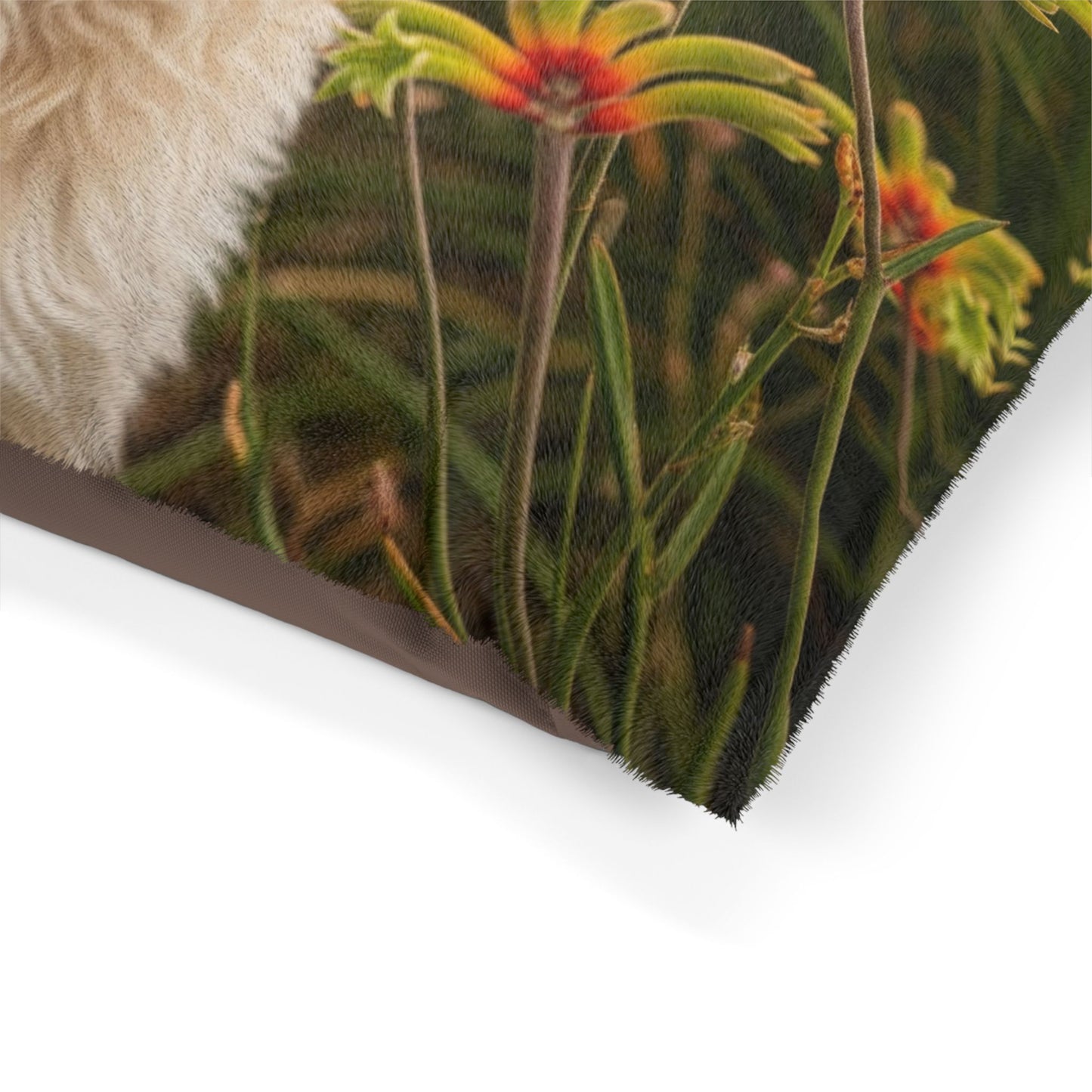 Cavoodle Pet Bed