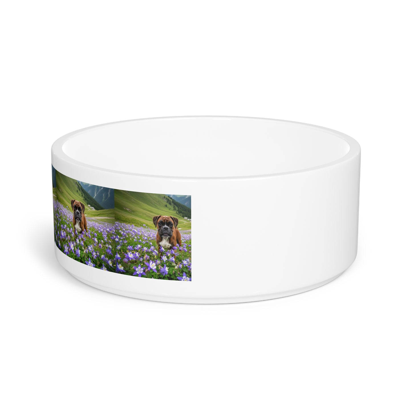 Boxer Pet Bowl