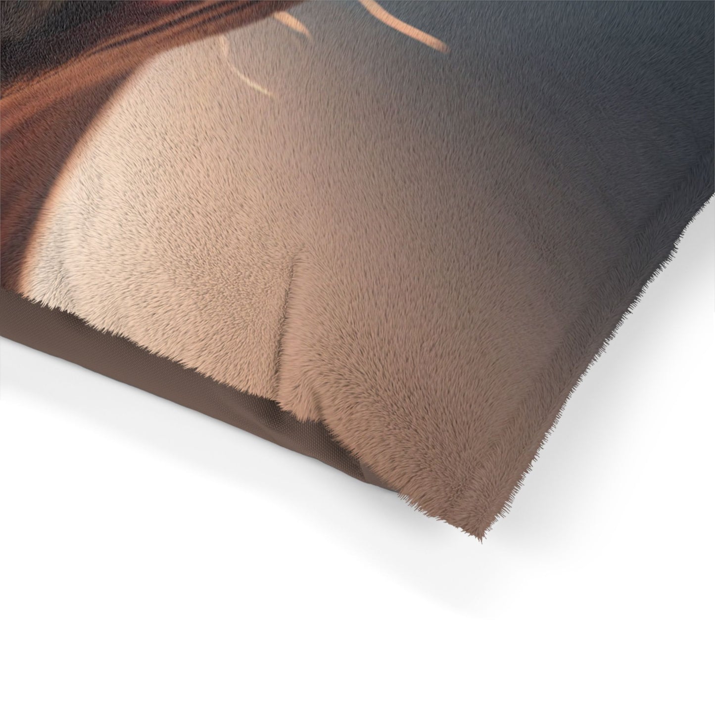Xoloitzcuintli Pet Bed