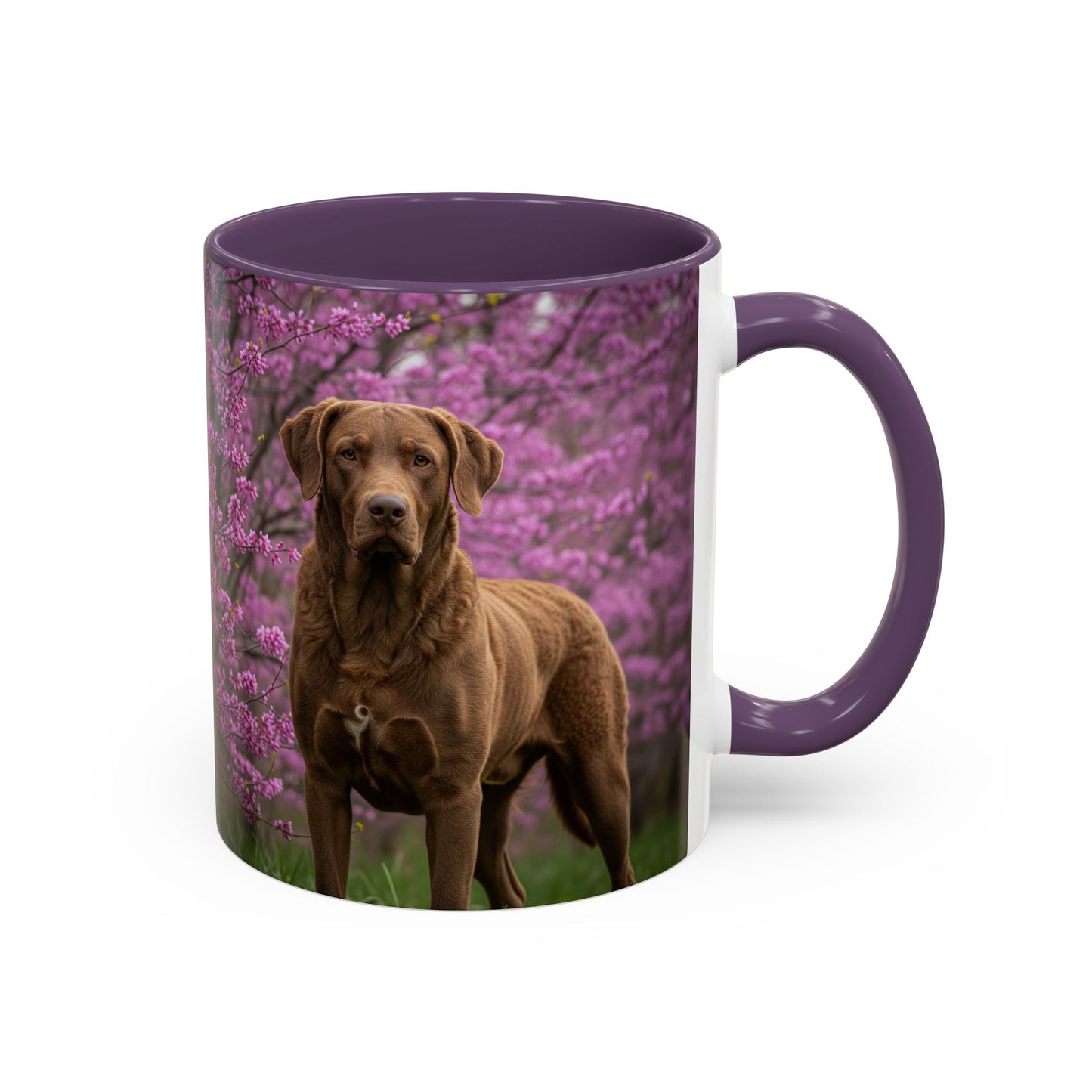 Chesapeake Bay Retriever Accent Coffee Mug - Perfect Gift for Dog Lovers