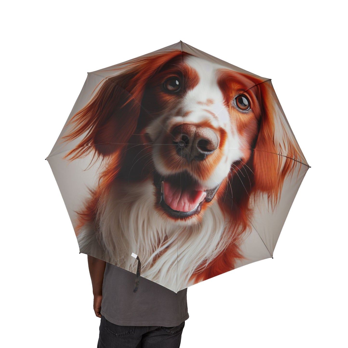 Irish Red and White Setter Semi-Automatic Foldable Umbrella